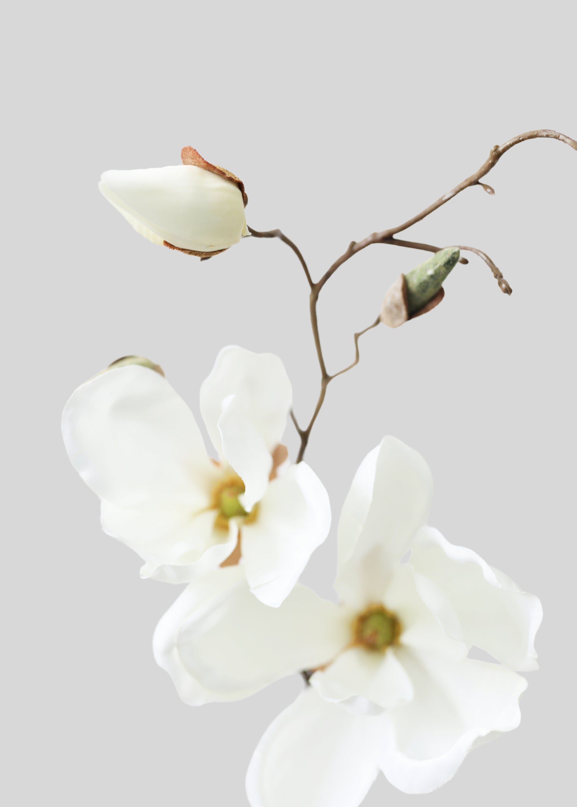 Artificial Magnolia