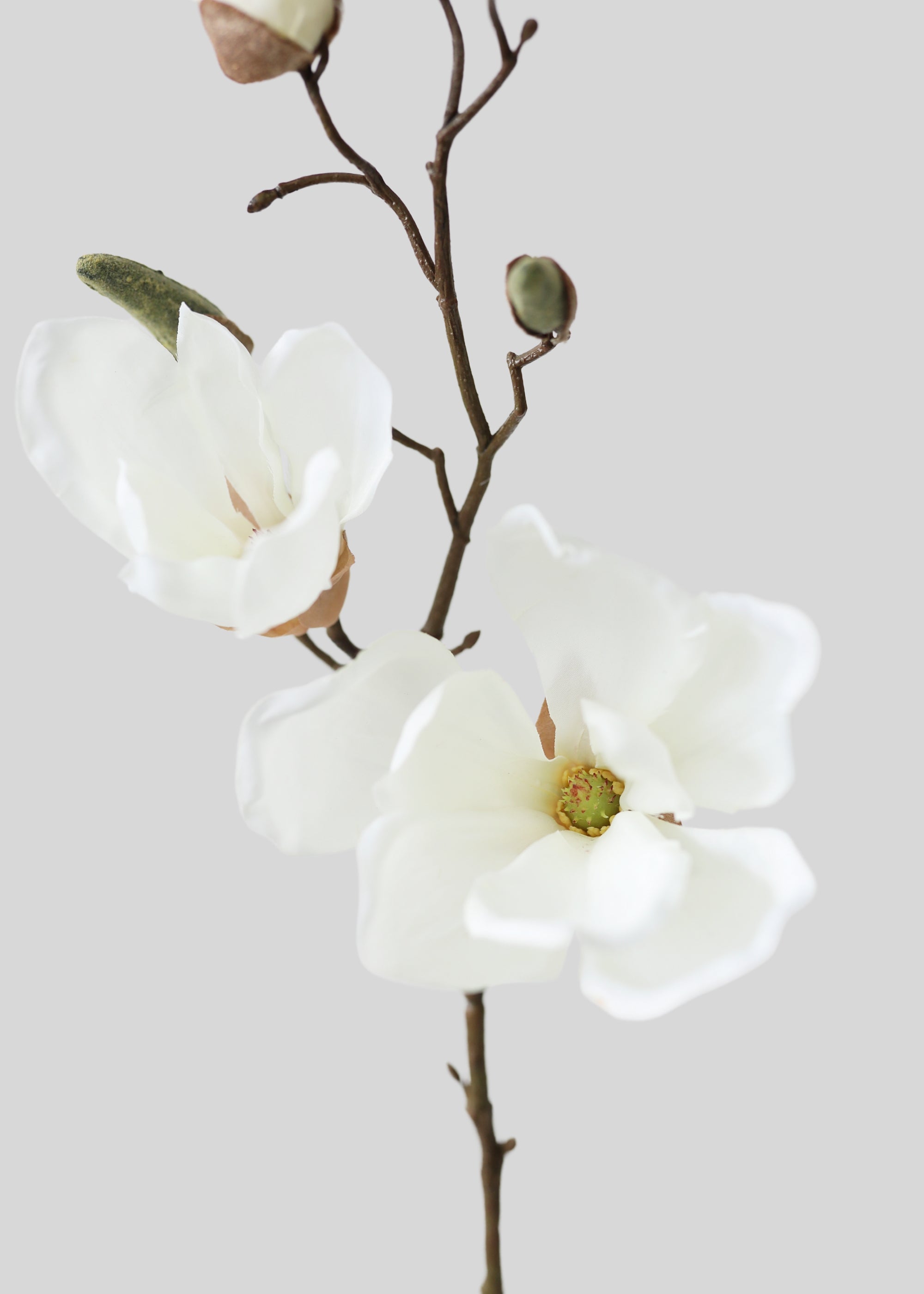 Faux Magnolia Branch in Cream