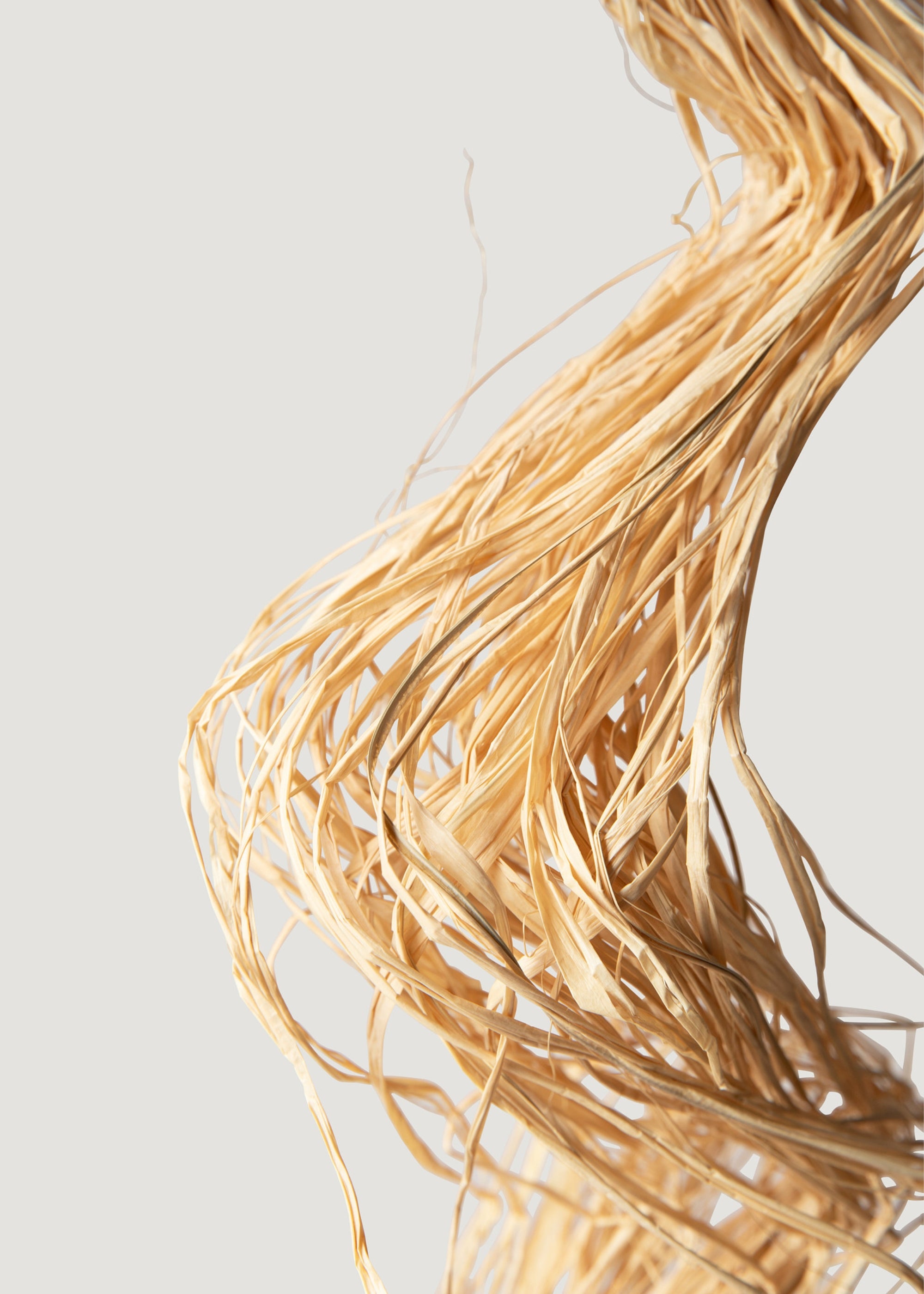 Raffia Hank