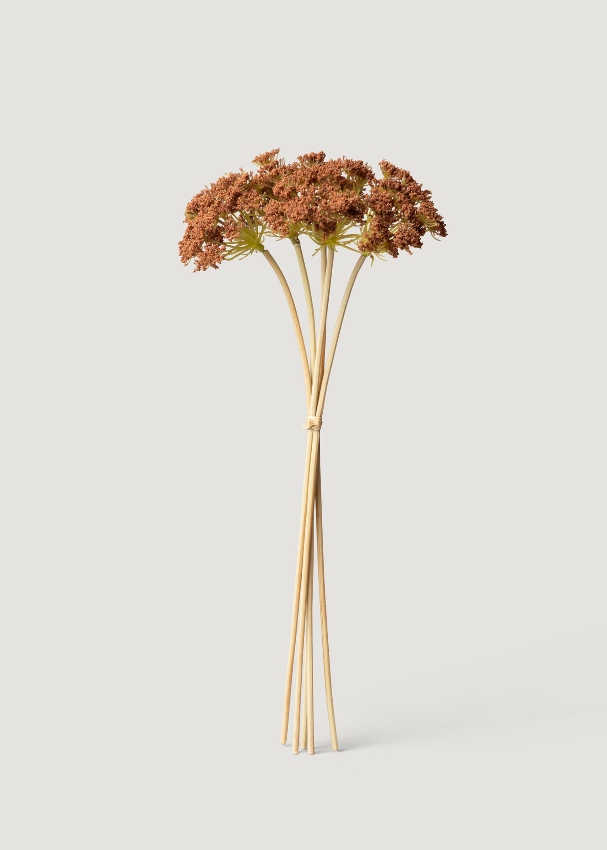 Fake Yarrow Bundle
