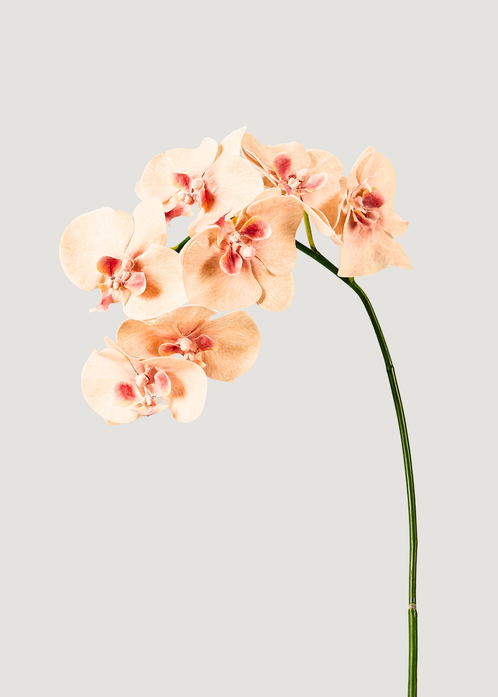 Peach Pink Fake Flowers Phalaenopsis Orchid
