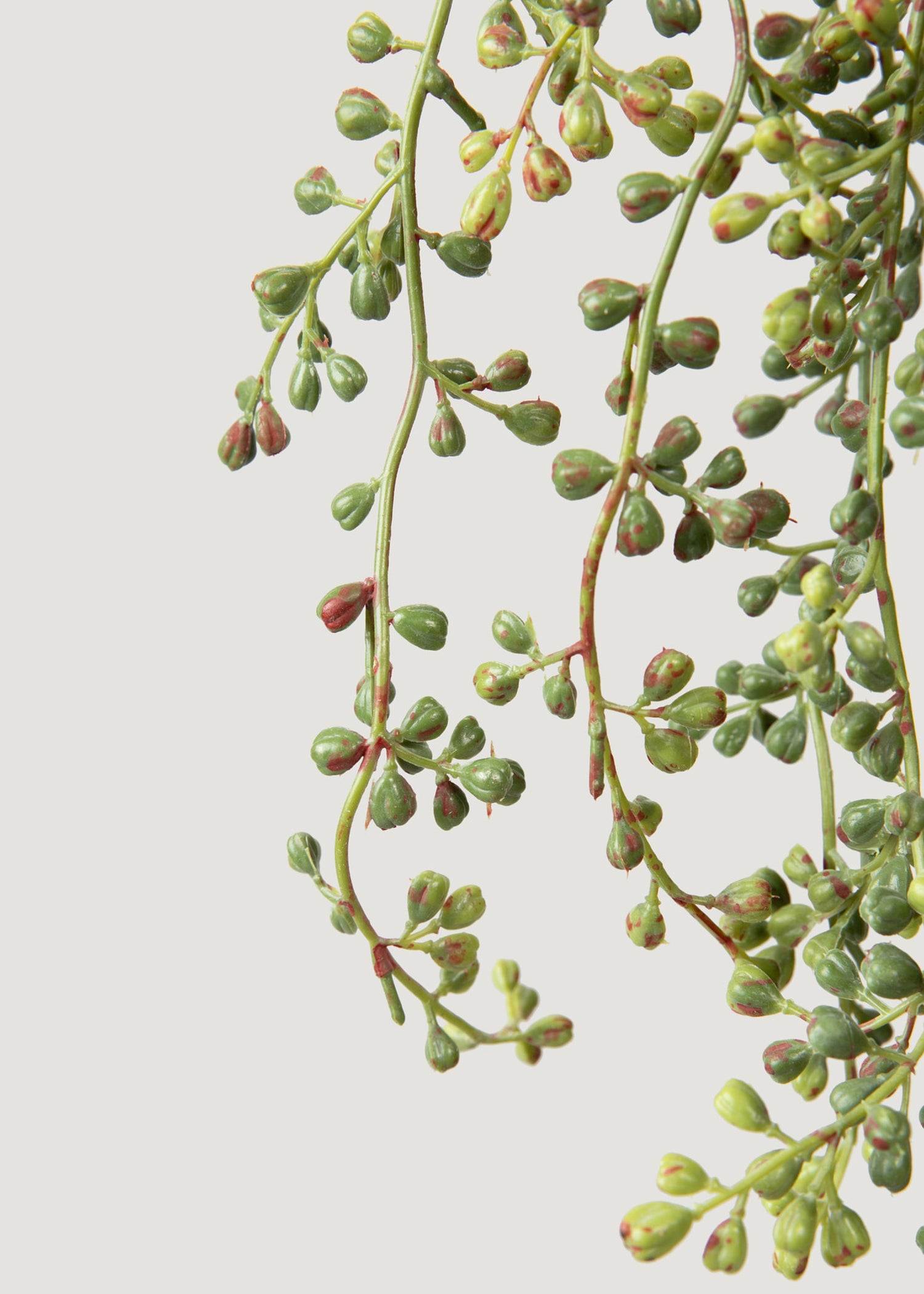 Fake Hanging String of Pearls