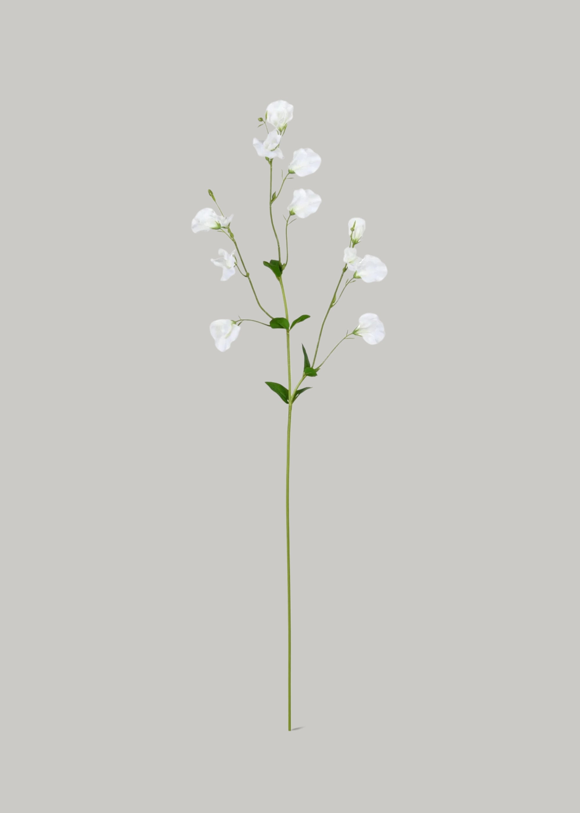 Artificial Sweet Pea Wildflowers in White