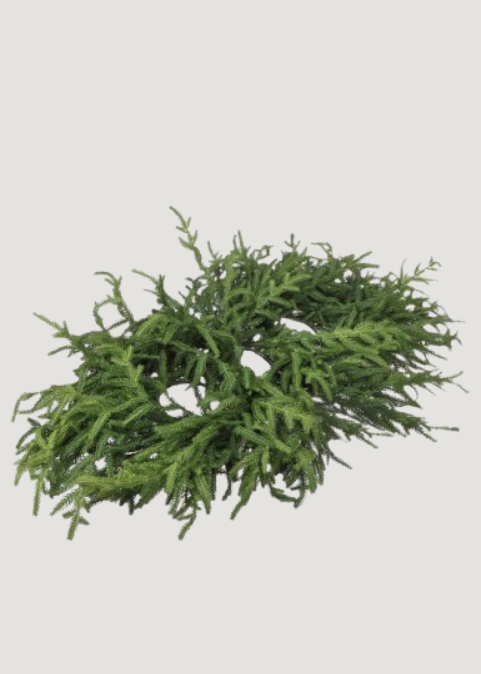 Afloral Real Touch Norfolk Pine Table Centerpiece