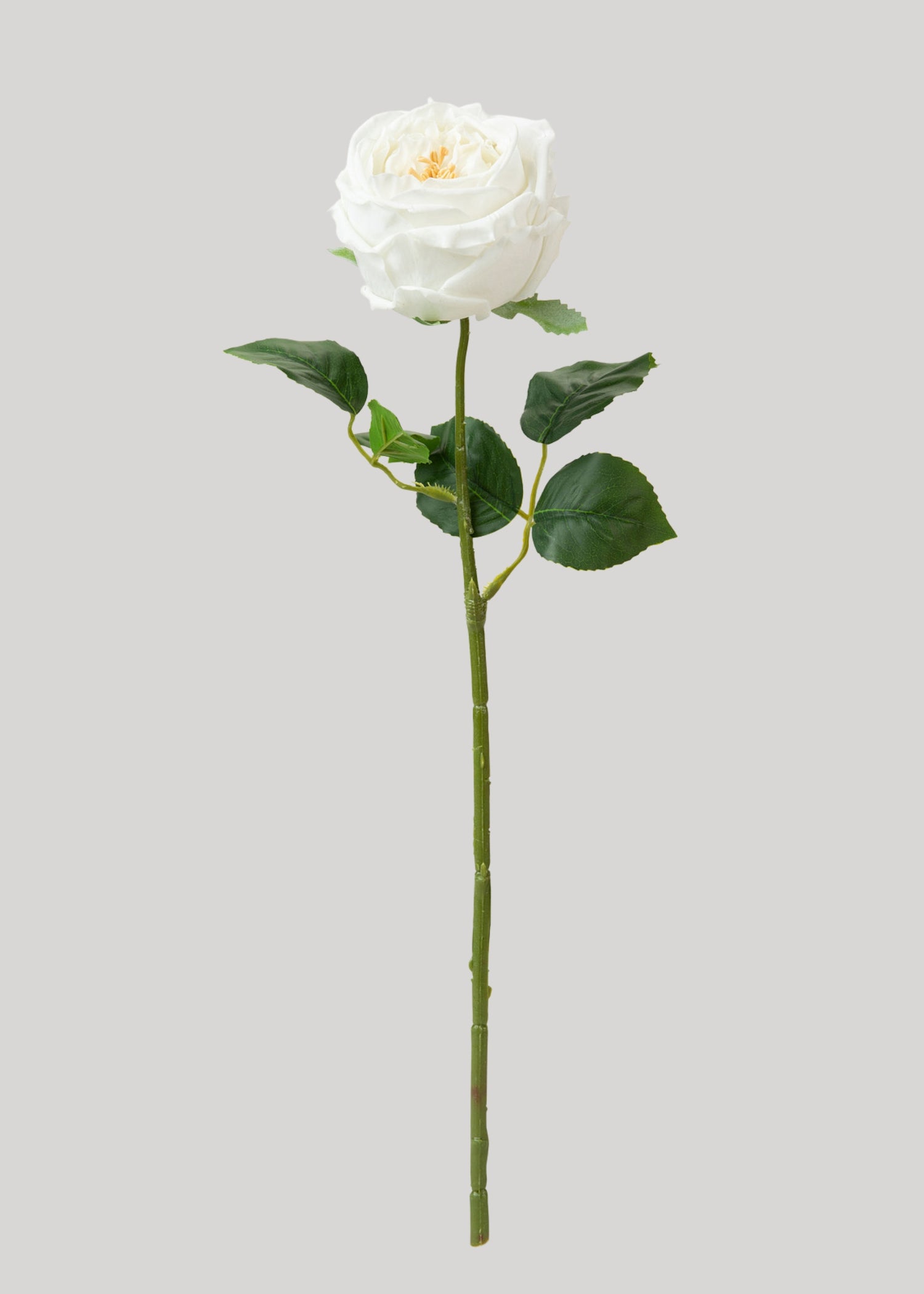 Faux Austin Cabbage Rose in White