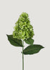 UV Treated Green Cone Hydrangea