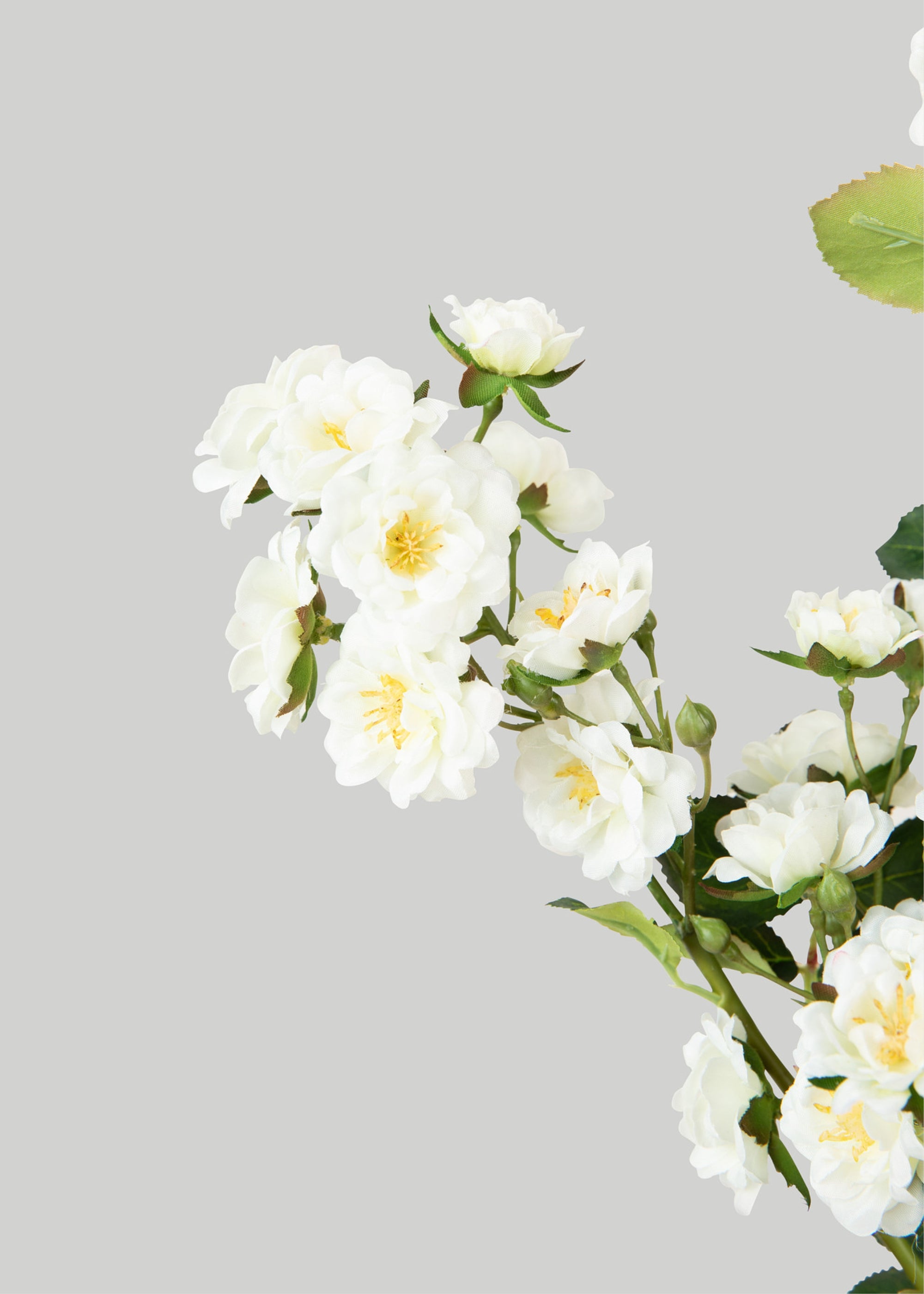 Cream White Climbing Fake Roses