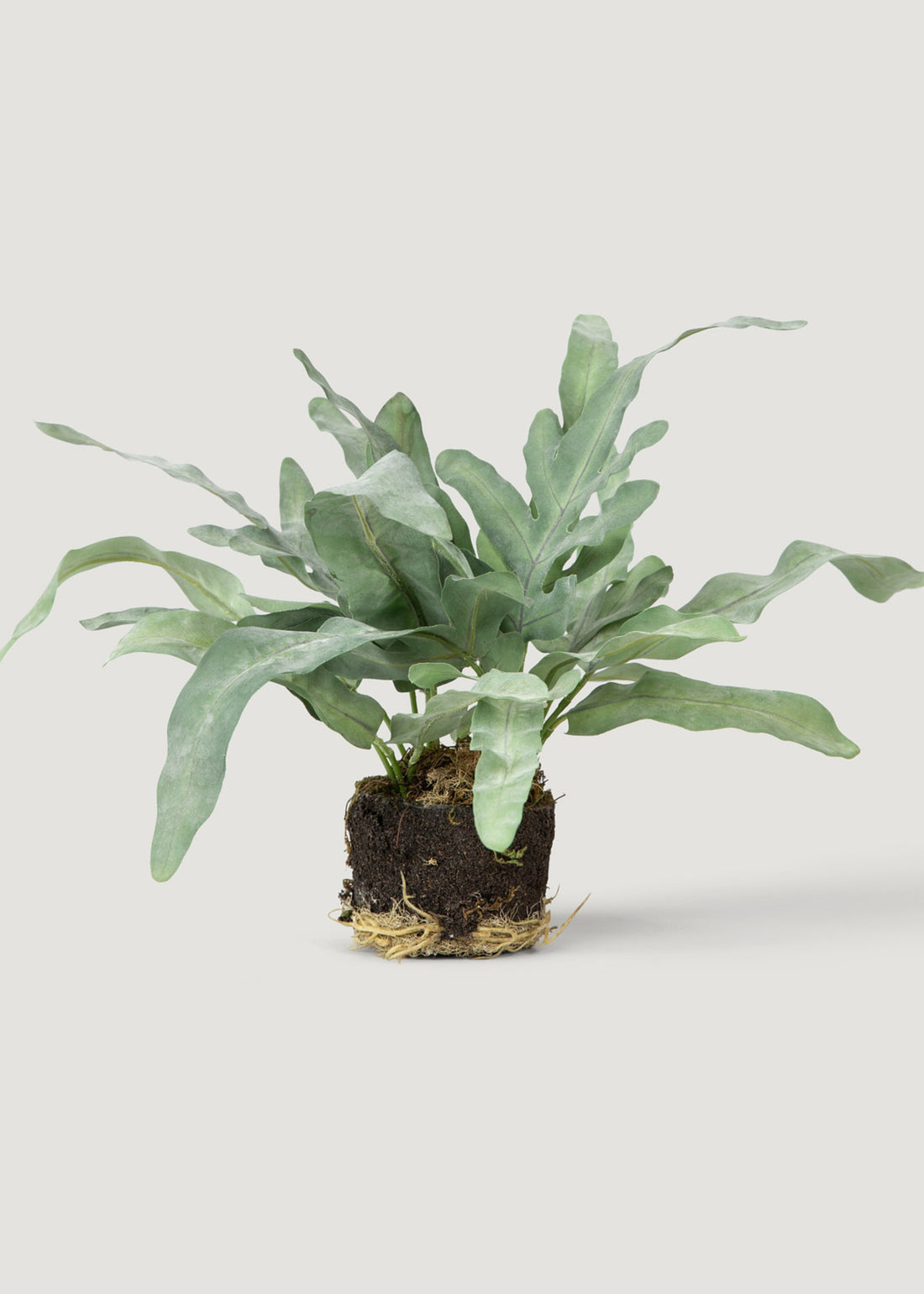 Artificial Echeveria Fern Drop-In Plant