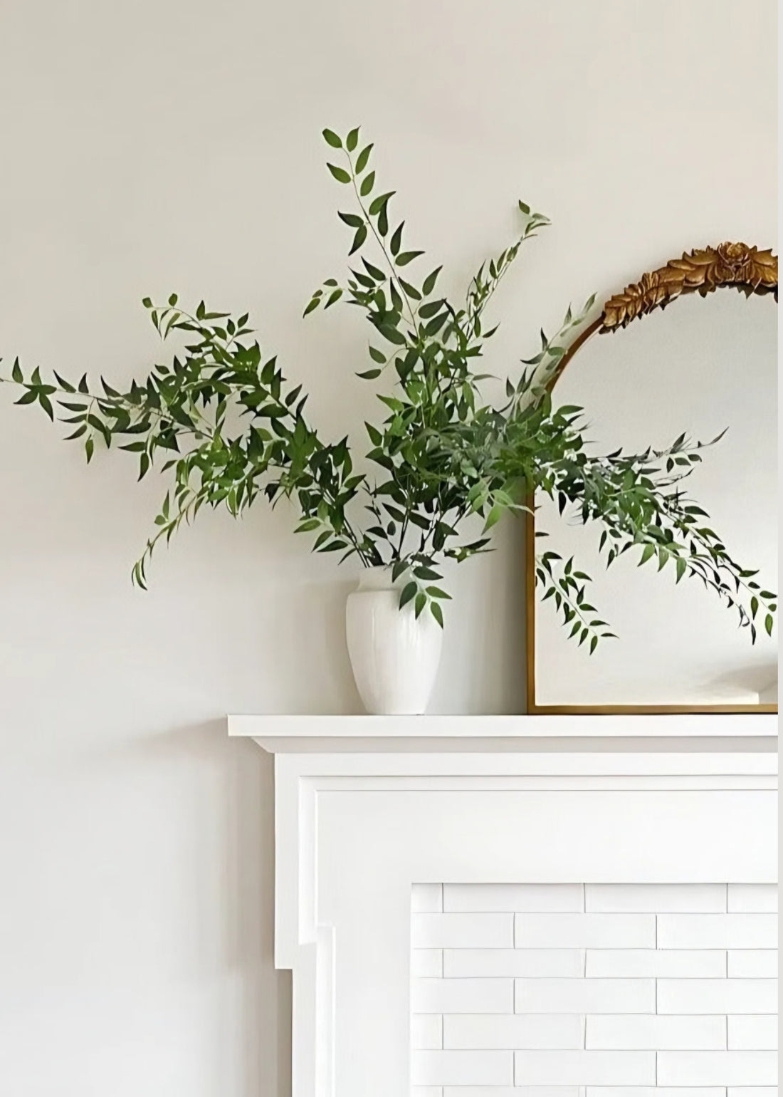 Fake Ruscus Branches from Afloral
