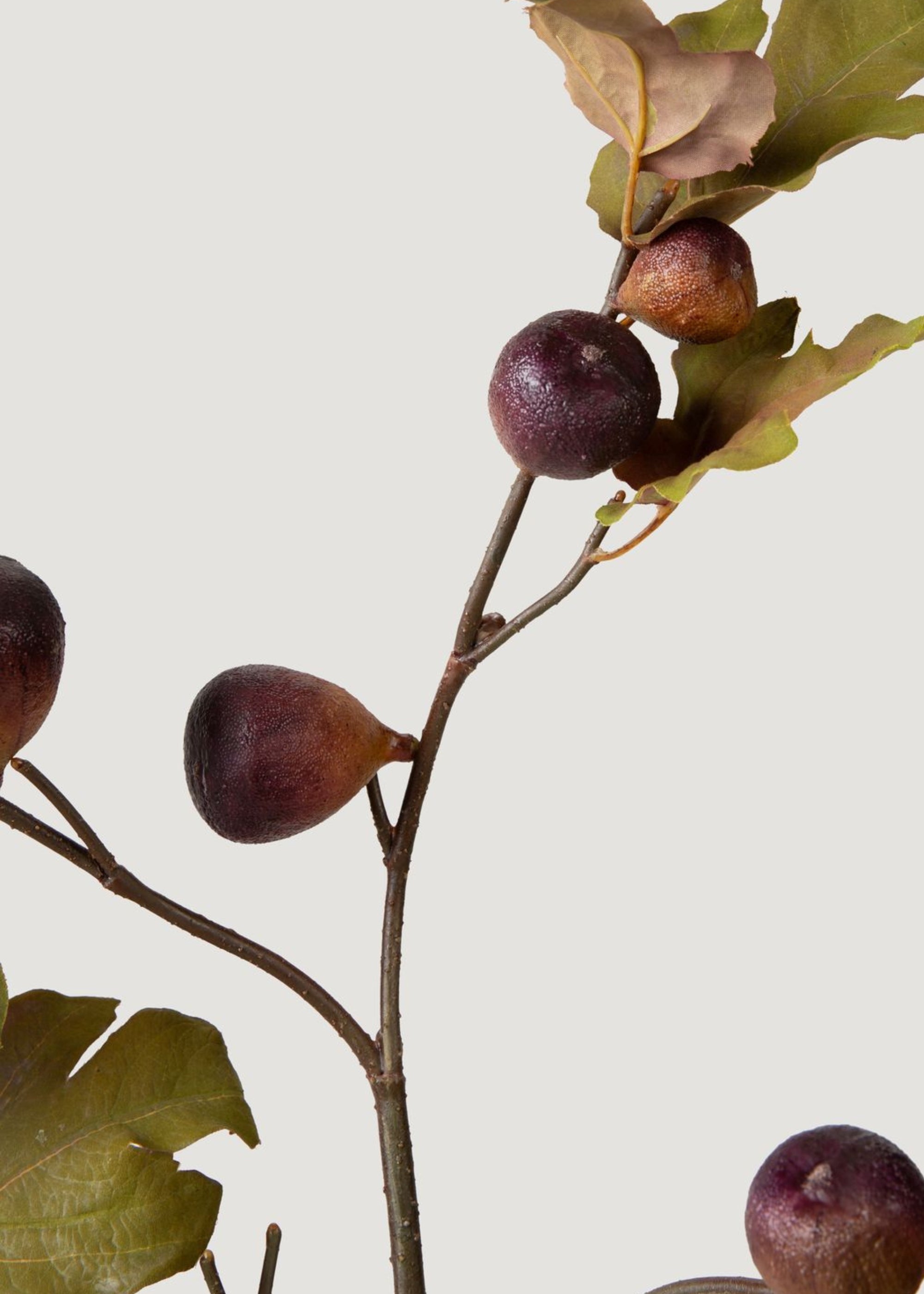 Dried Look Faux Fig Branch in Eggplant