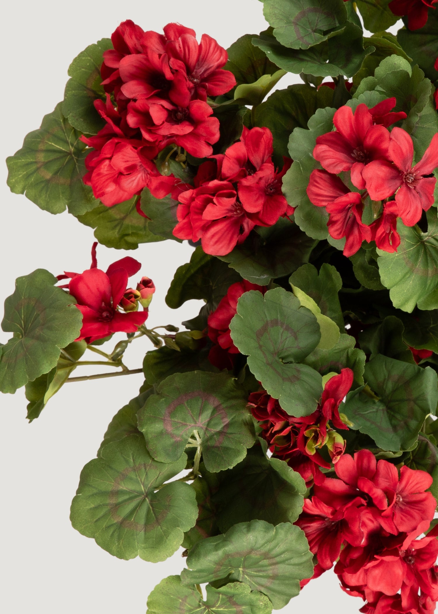 Fake Red Geranium Bush