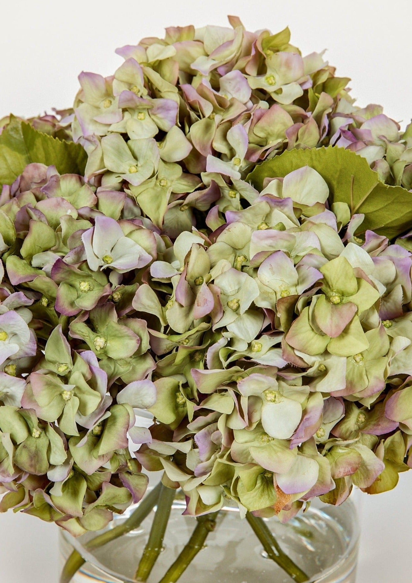 Afloral Closeup of Antique Green Purple Faux Hydrangeas in Vase Arrangement