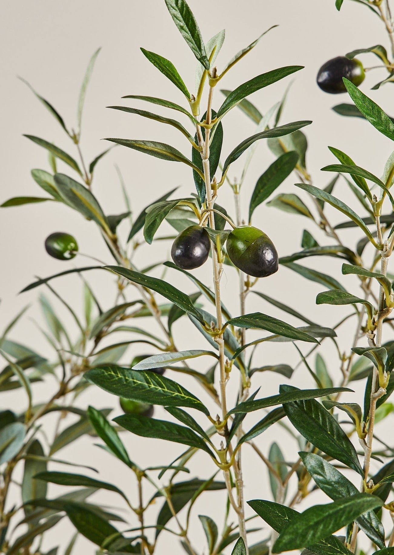Artificial Olive Tree Potted Plant in Closeup