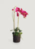 Fuchsia Pink Fake Phalaenopsis Orchid Drop-In Plant