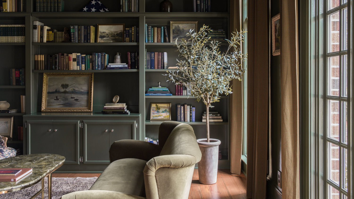 Living room with bookshelves, armchair, and a large window with olive tree plant