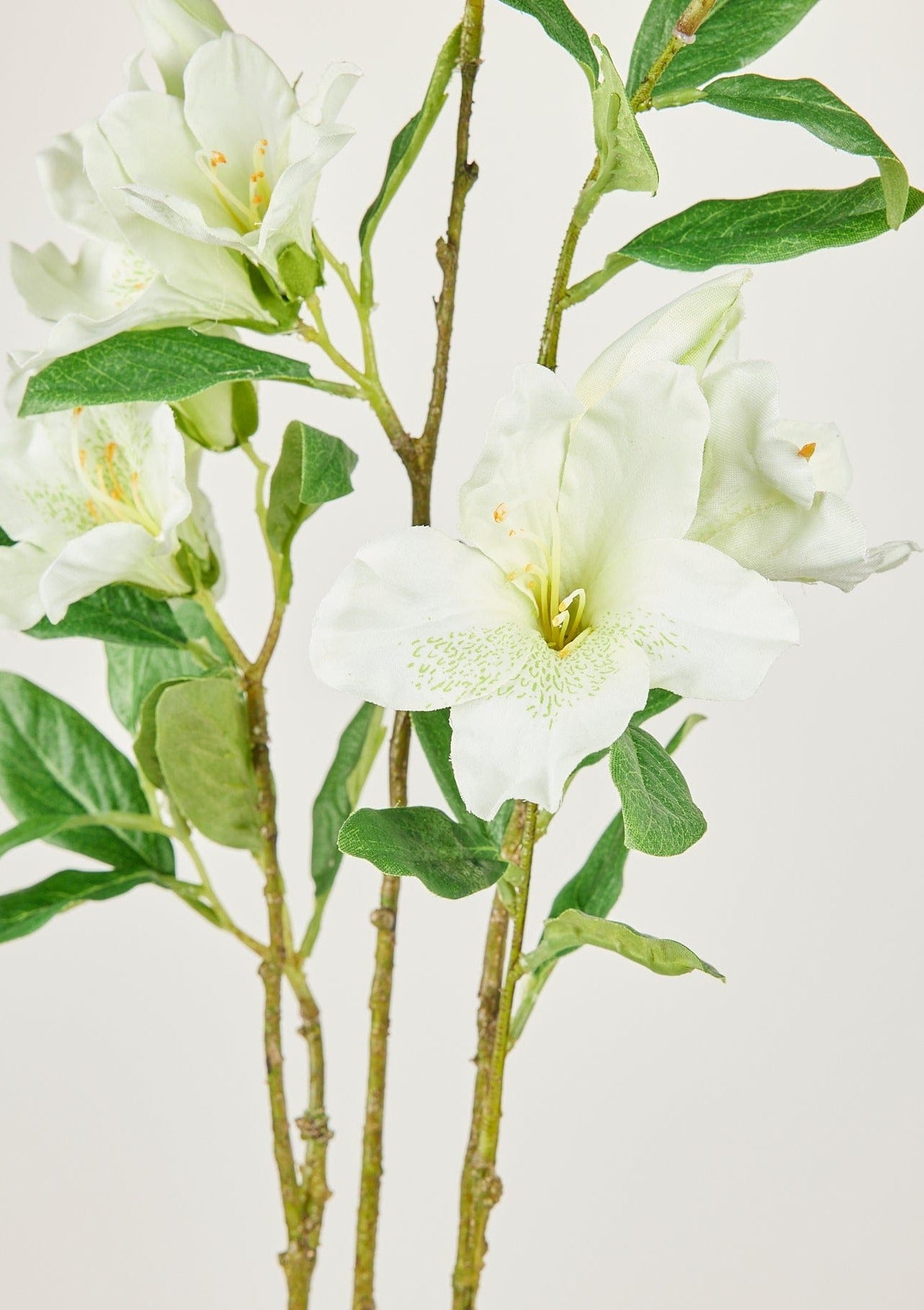 Afloral Closeup View of Faux Cream Azalea Flower Branch