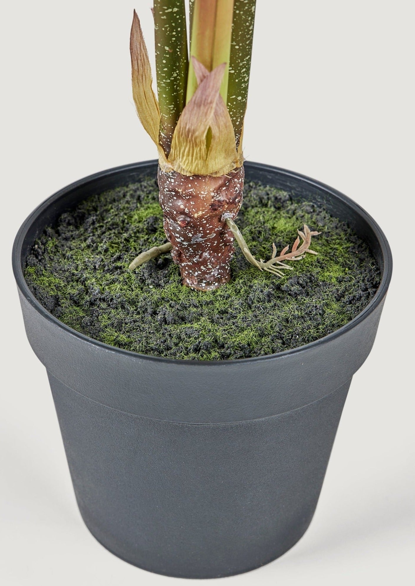 Closeup of Potted Portion in Artificial Alocasia Plant