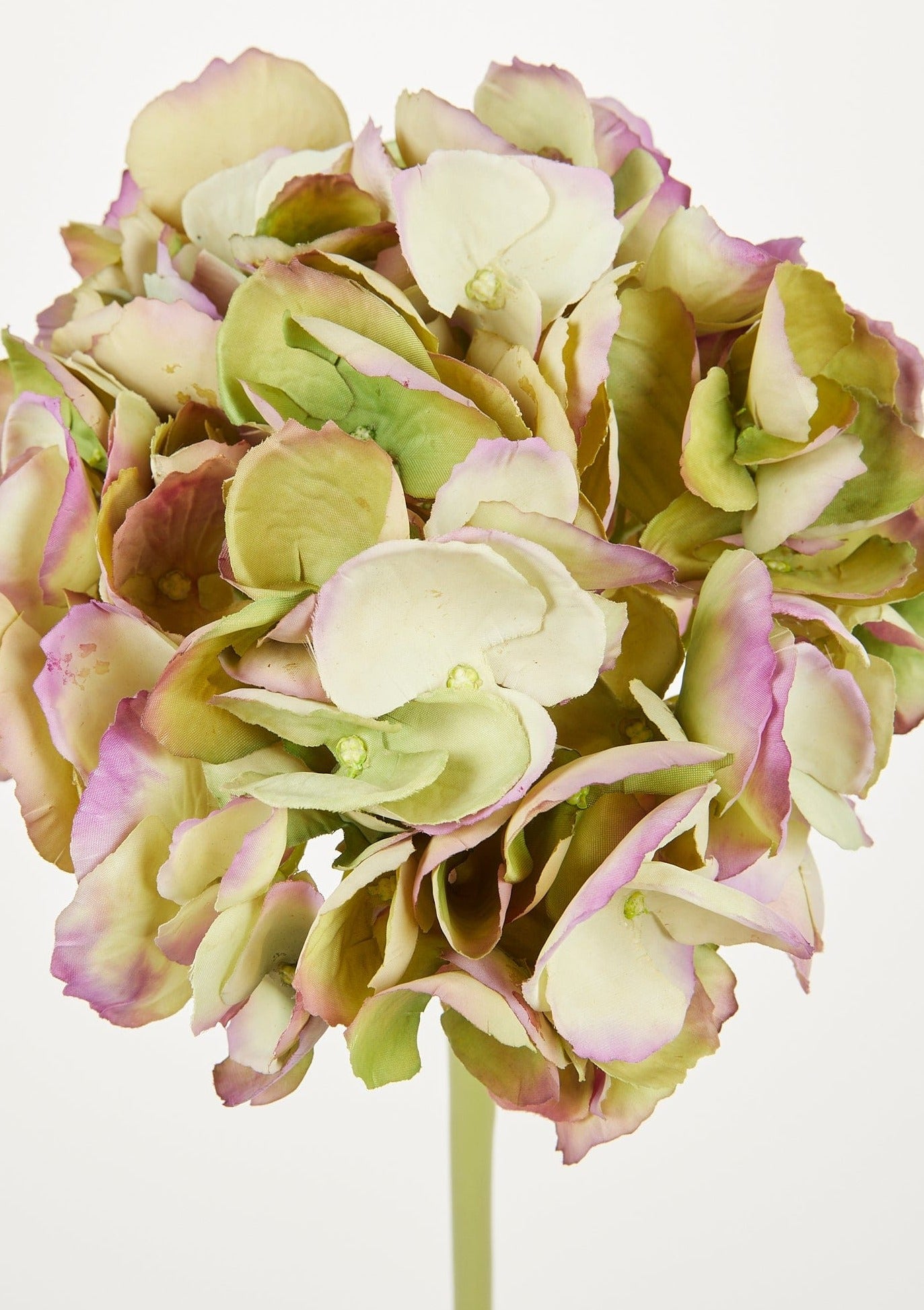 Afloral Closeup View of Antique Green Faux Hydrangea