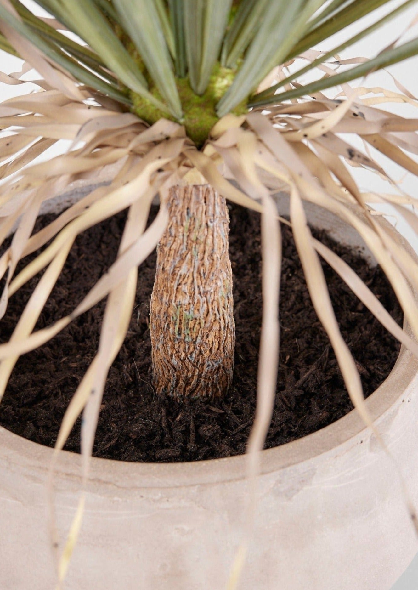 Closeup View of Soil of Faux Palm Plant in Cement Pot at Afloral