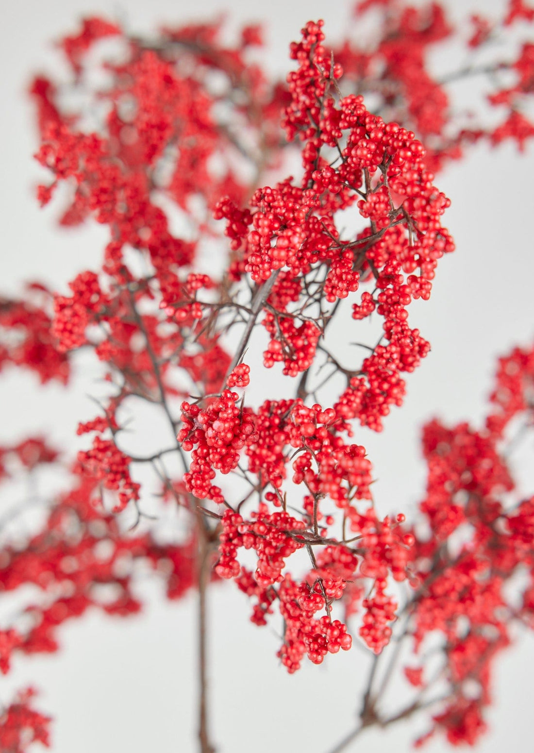 Faux Branches Winter Red Berry Branch in Closeup View