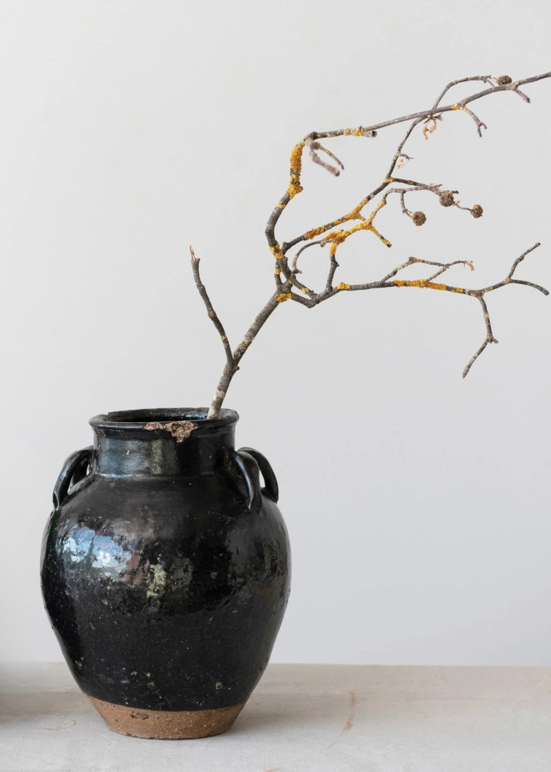 Large Distressed Clay Jar Vase Styled with Branch
