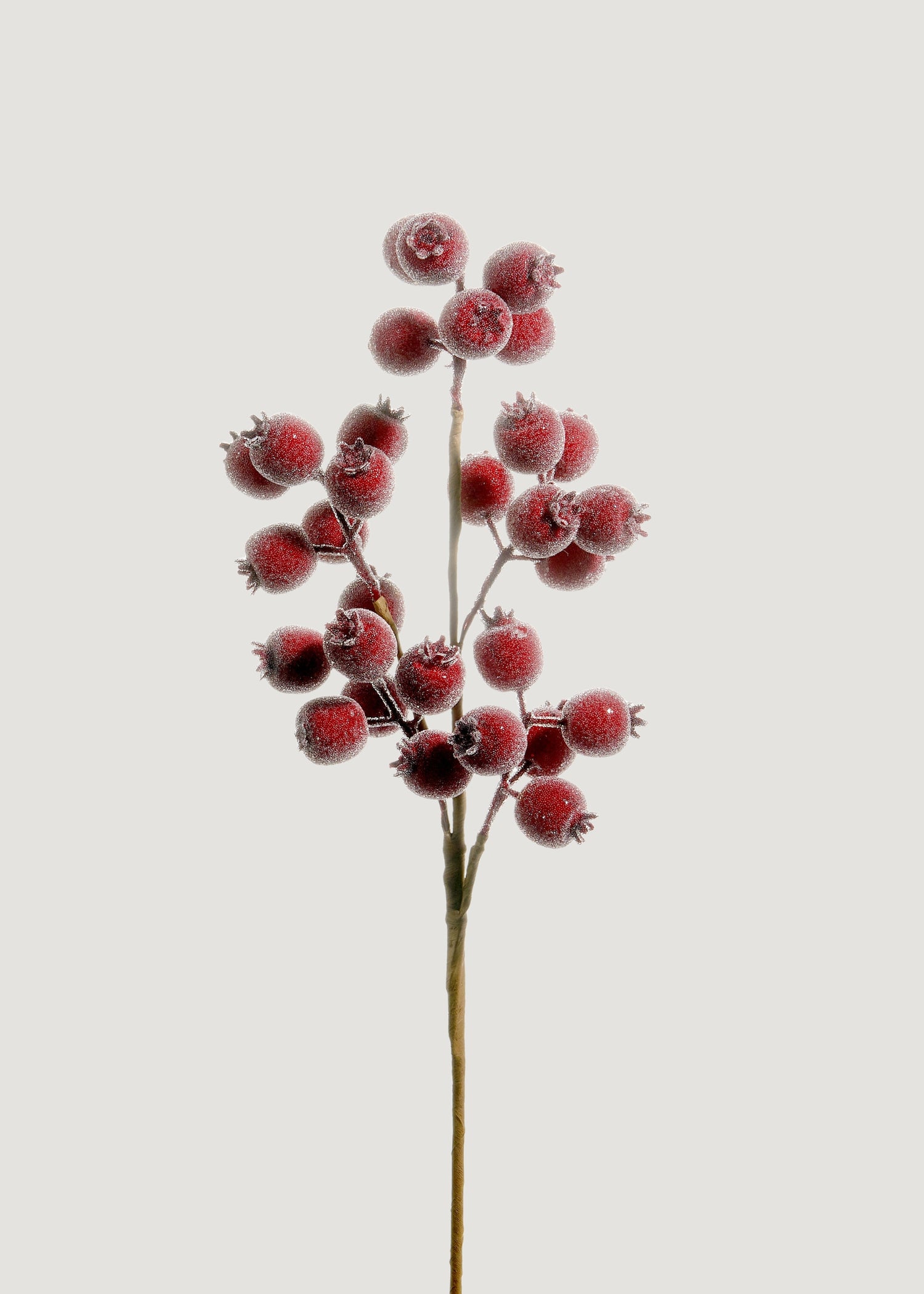 Fake Holiday Berry Pod Branch in Iced Burgundy