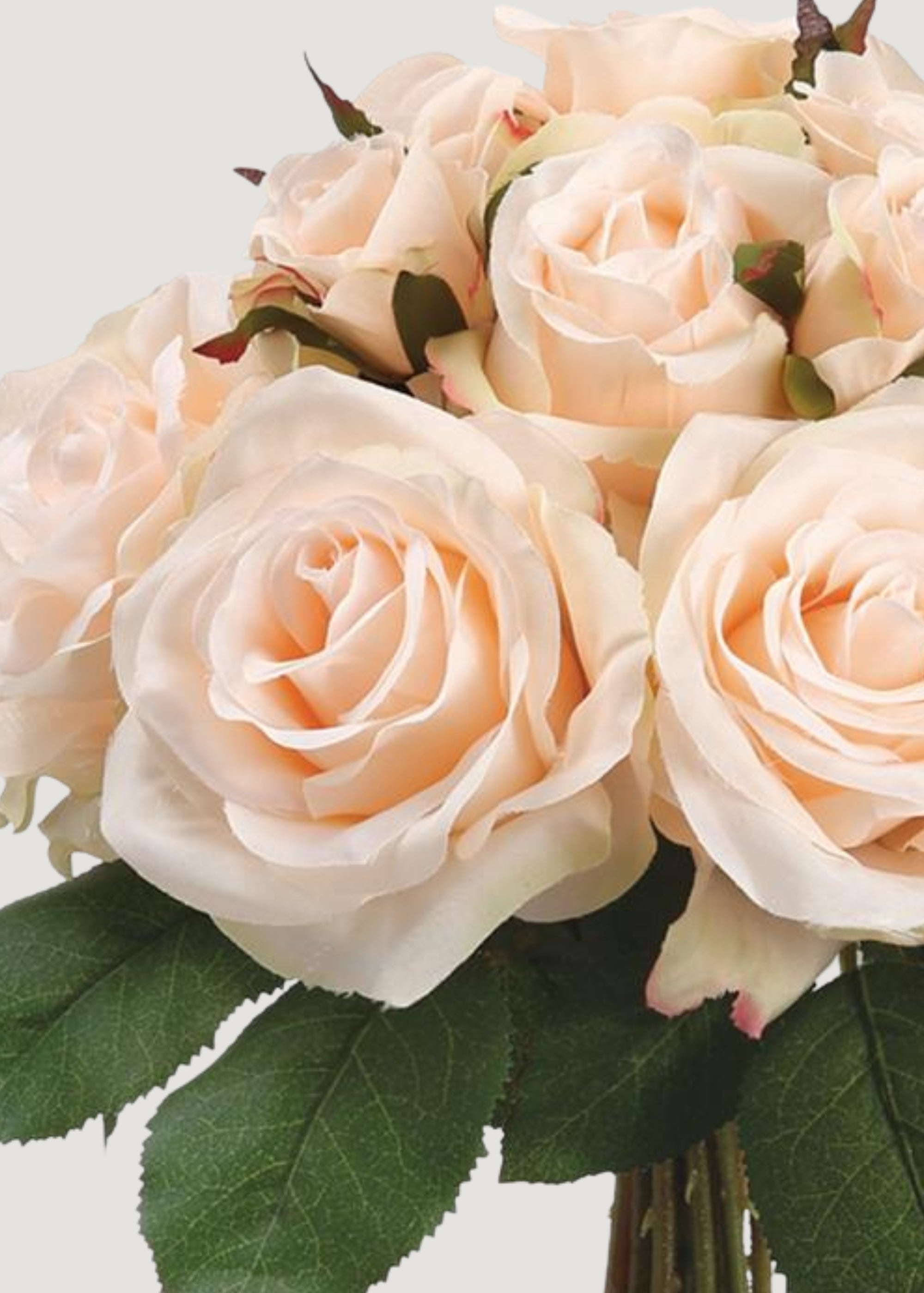 Artificial Roses in Peach Cream