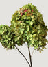 Basil Green Preserved Hydrangeas