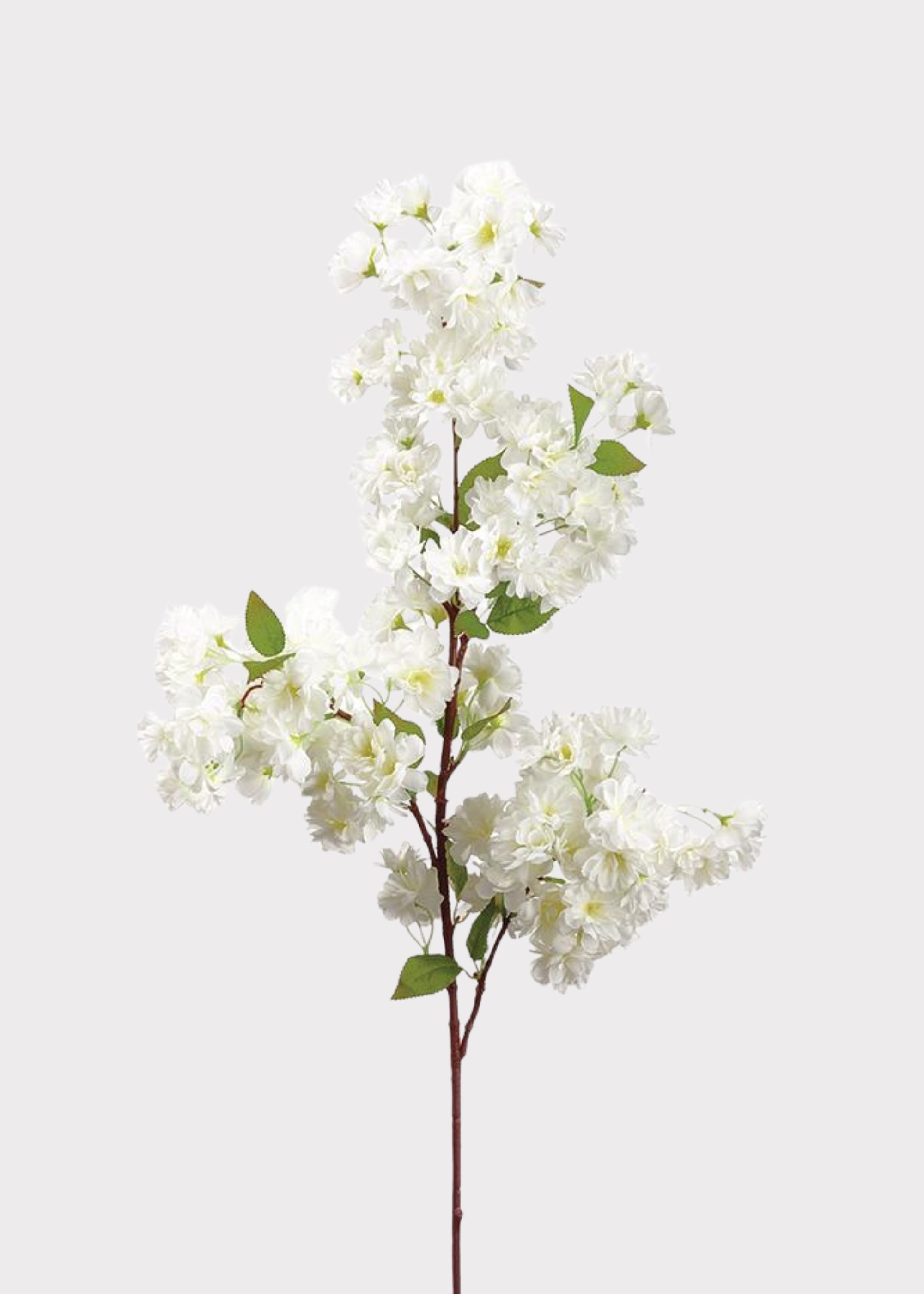 Cream White Cherry Blossom Branch | Fake Spring Flowers | Afloral