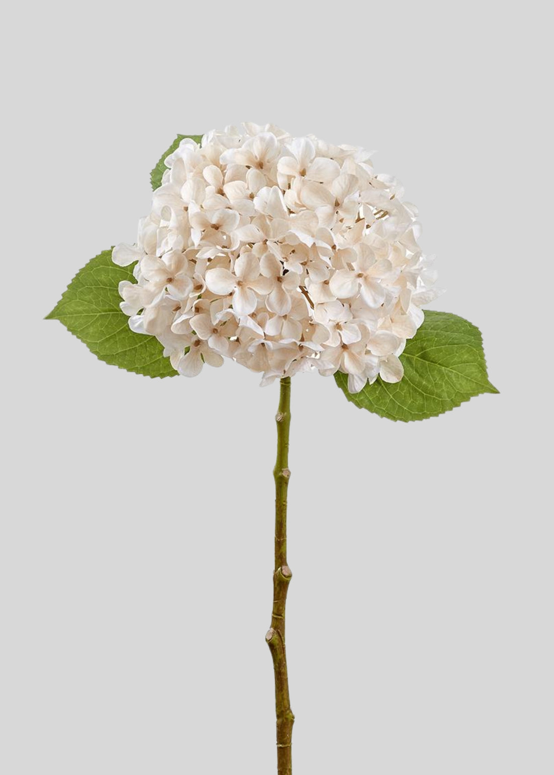 Ivory Cream Fake Hydrangea
