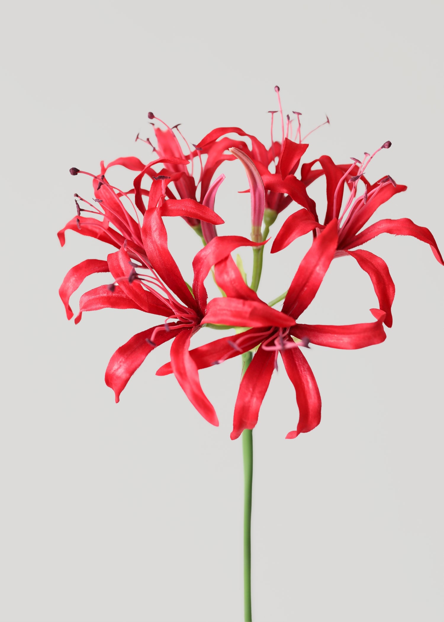 Artificial Nerine Spider Lily in Red