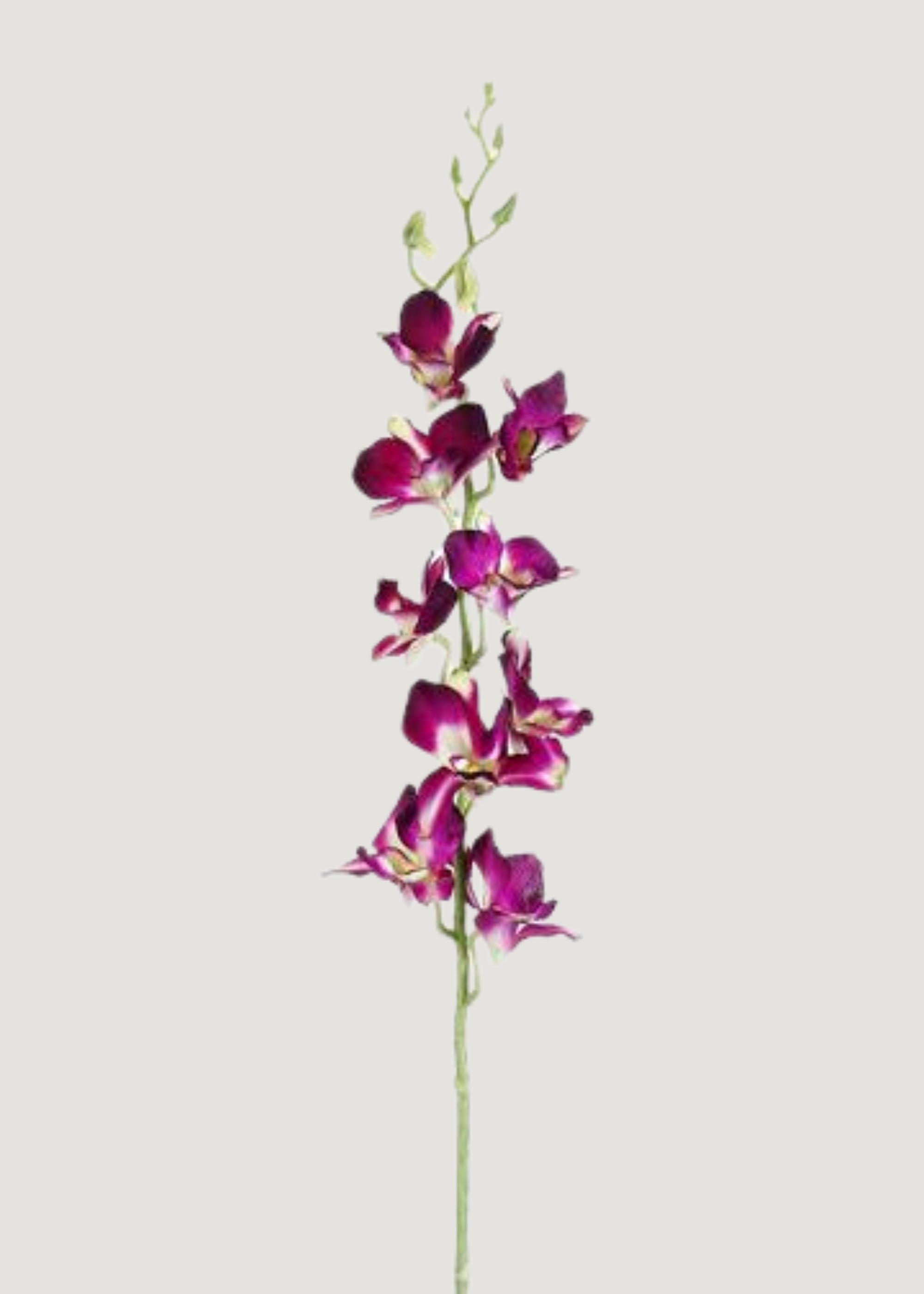 Purple Artificial Dendrobium Orchid Flower Stem