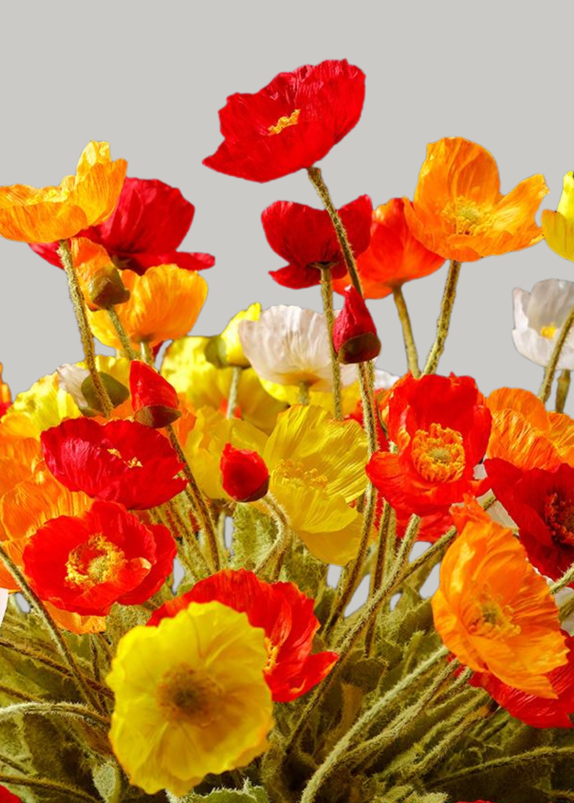 Artificial poppies in orange, red, white, and yellow