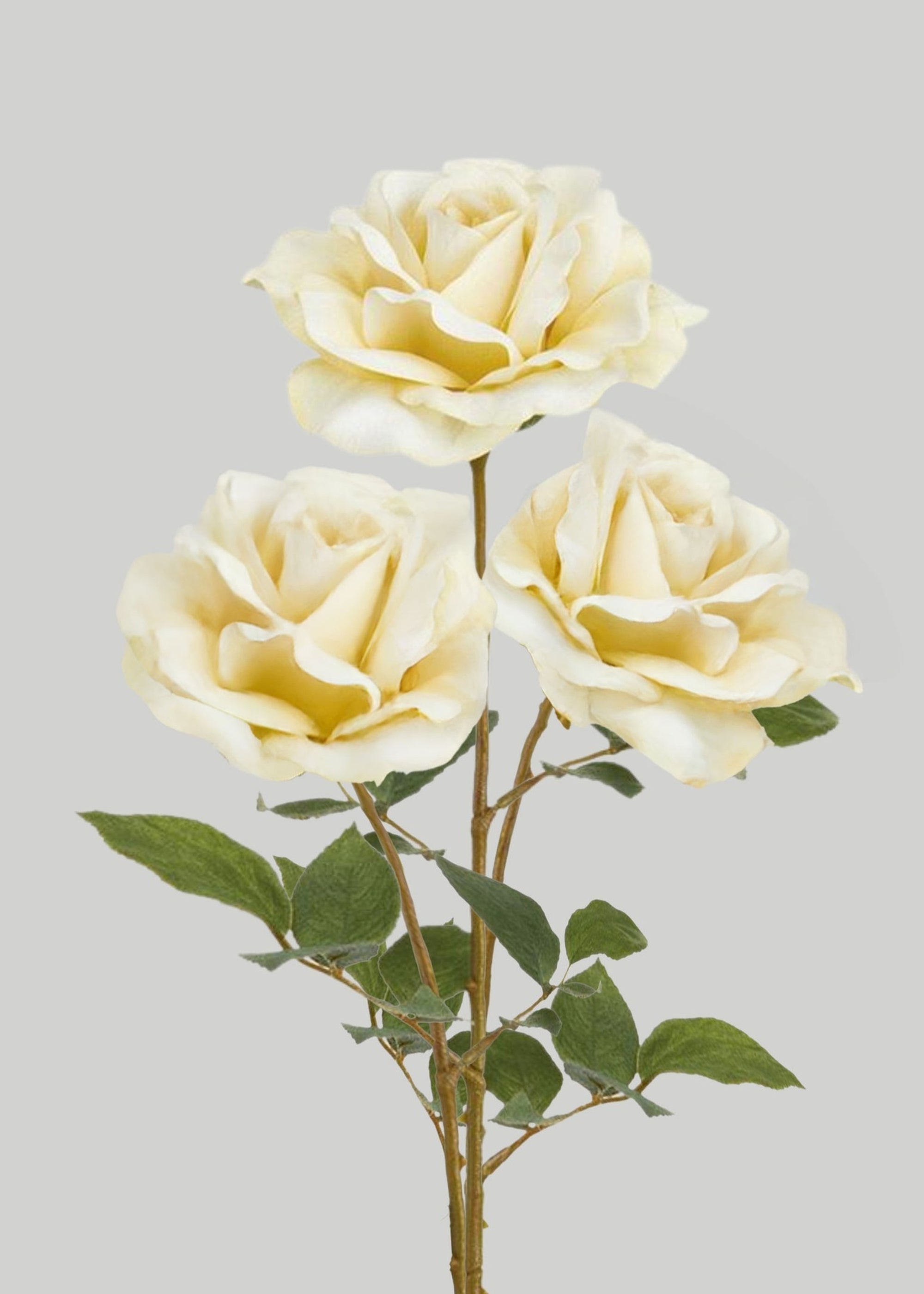 Bundle of 3 Ivory Artificial Roses