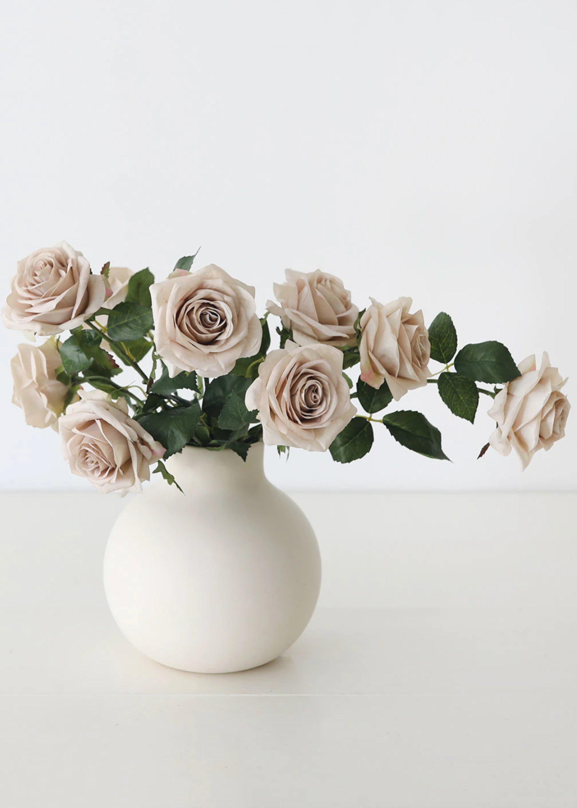 White vase with beige roses o