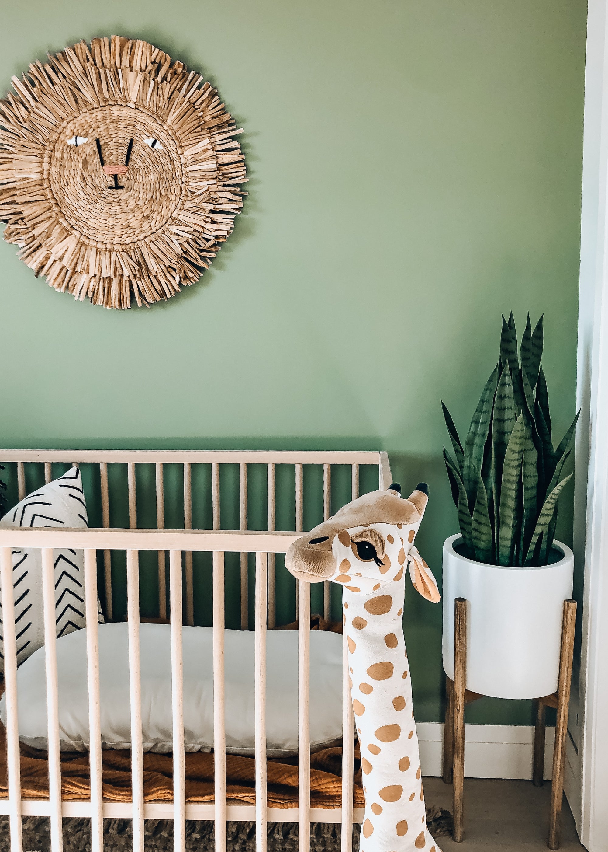 Fake Potted Snake Plant for Nurseries