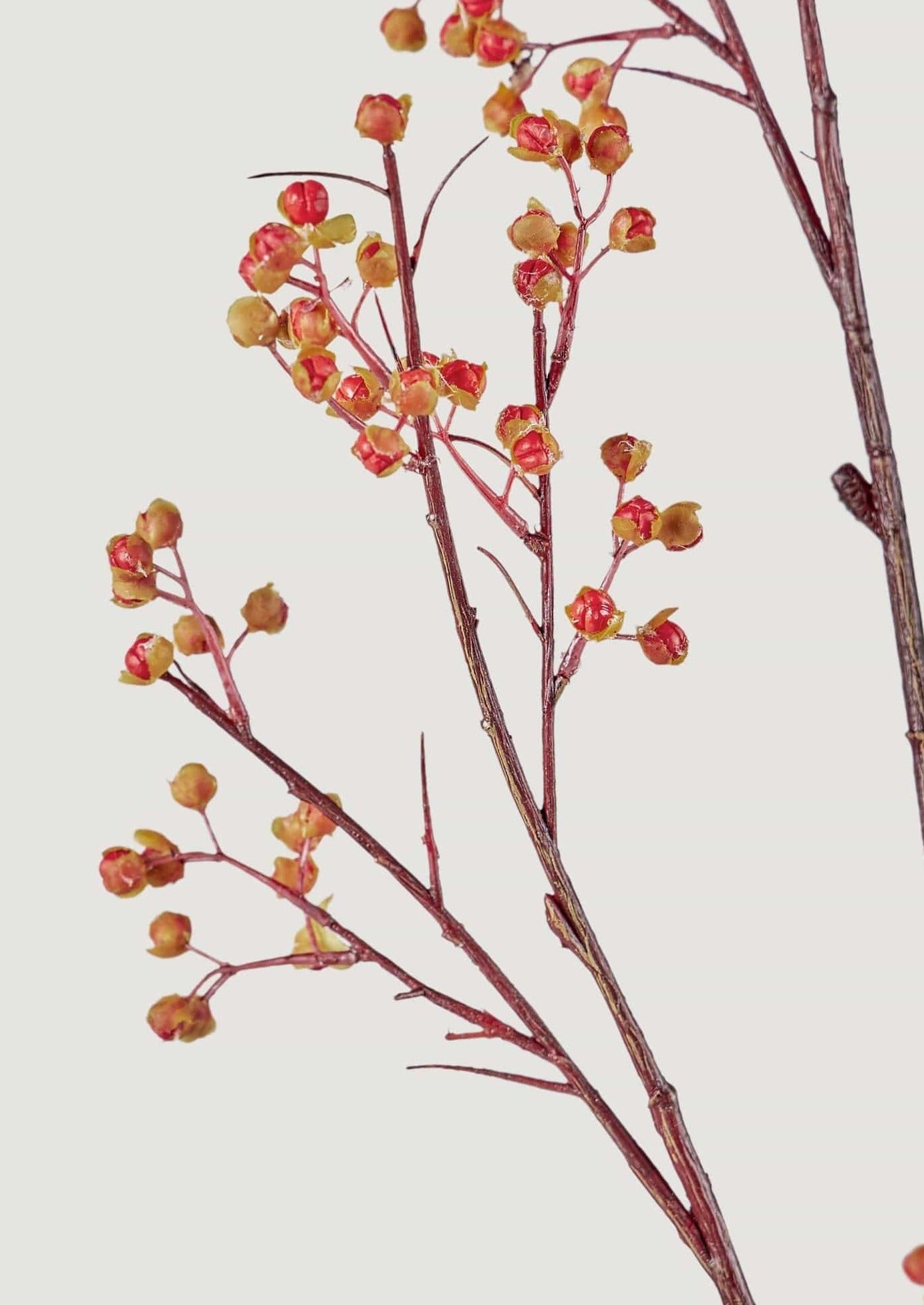 Red Berries of Faux Fall Bittersweet Branch in Afloral Closeup