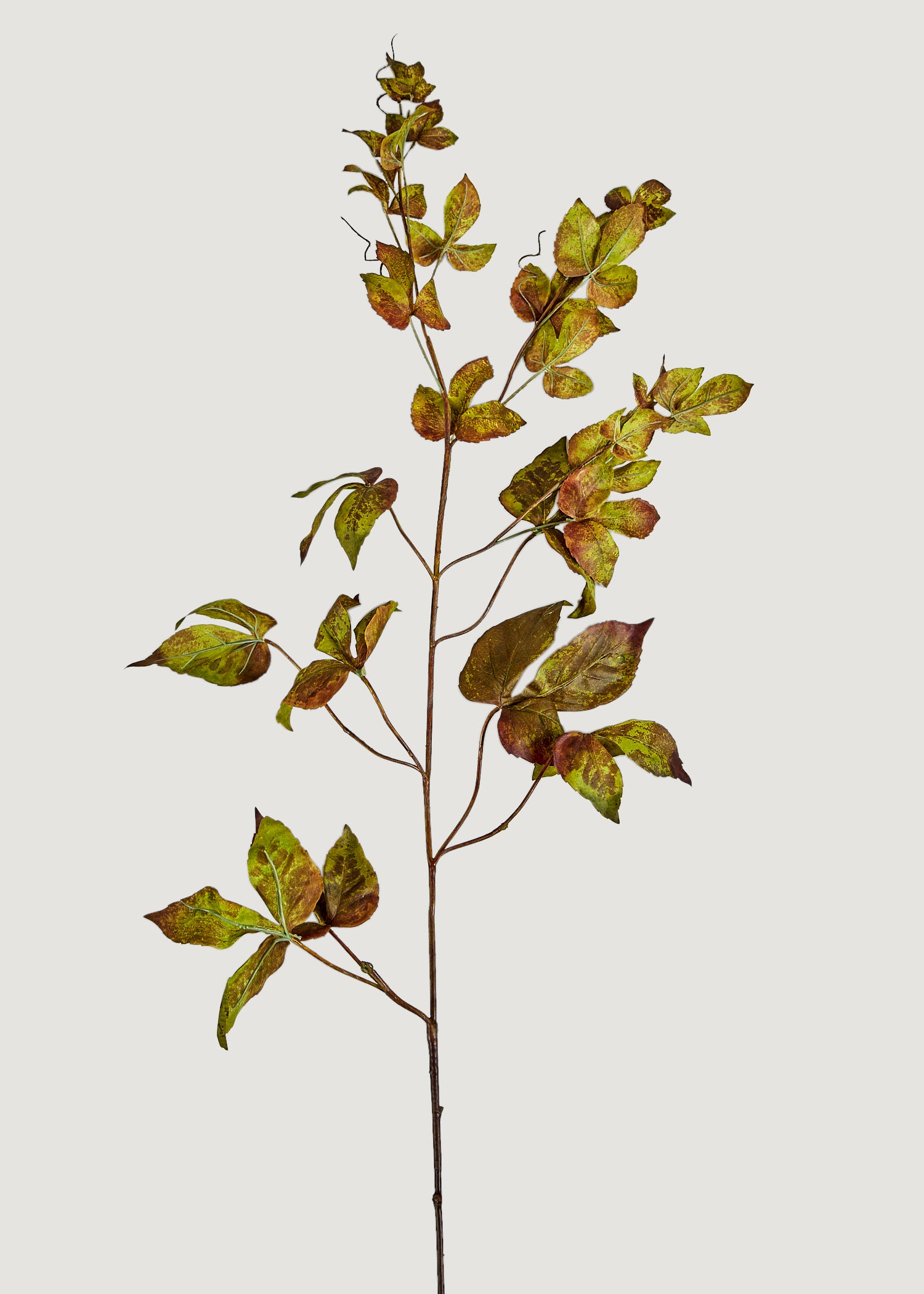 Artificial Fall Leaves Tall Grape Ivy Branch at Afloral
