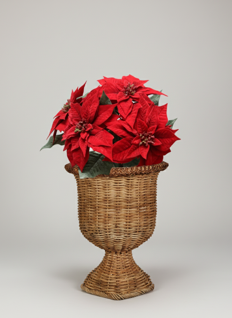Red poinsettias in a wicker vase on a light gray background