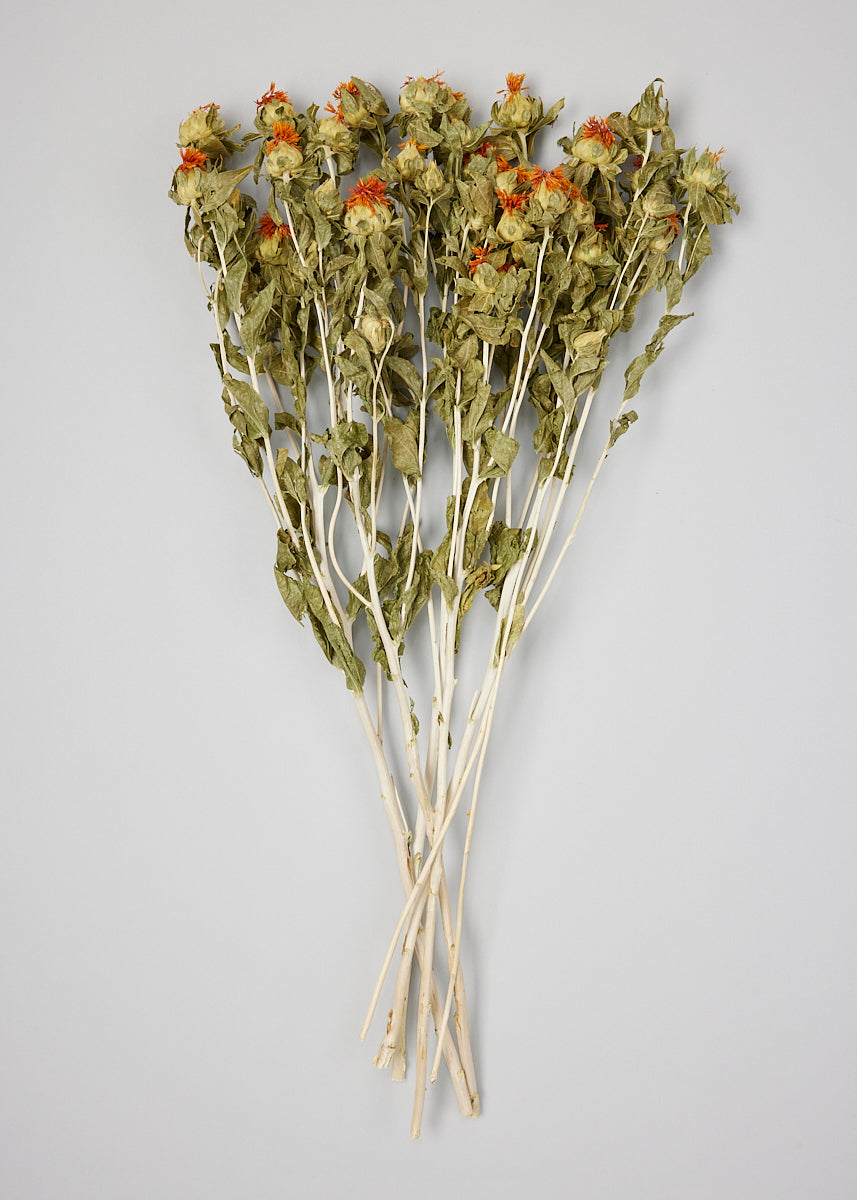 Natural Safflower Stems