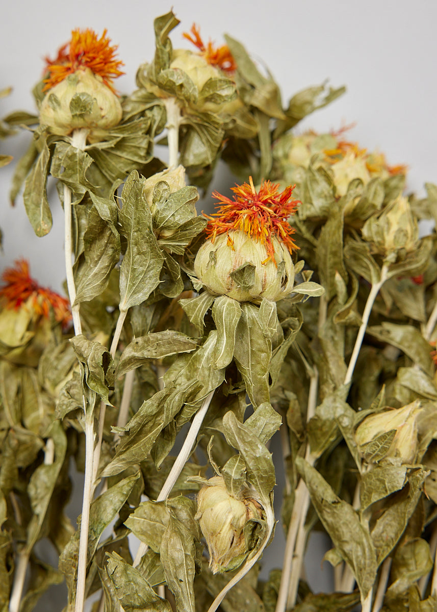 Natural Safflower Flowers