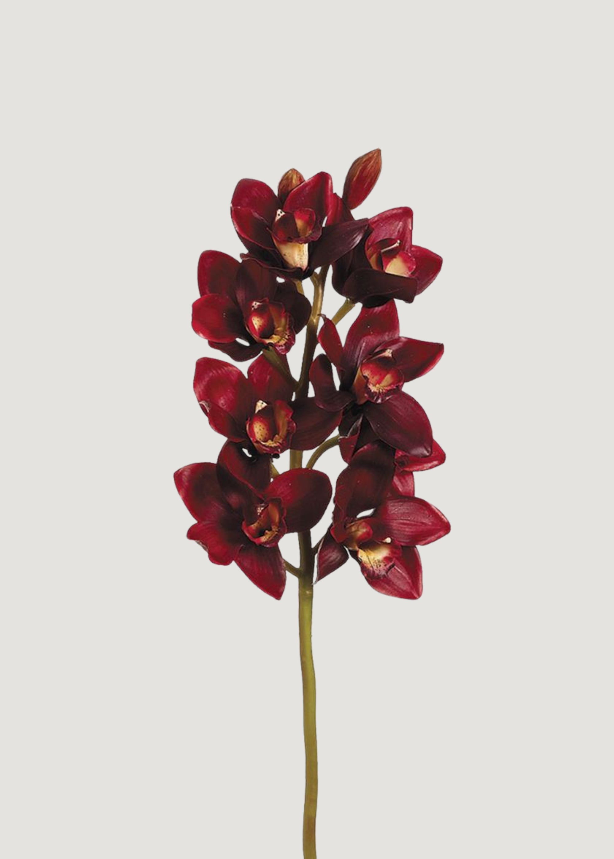 Burgundy Red Fake Cymbidium Orchid Flowers
