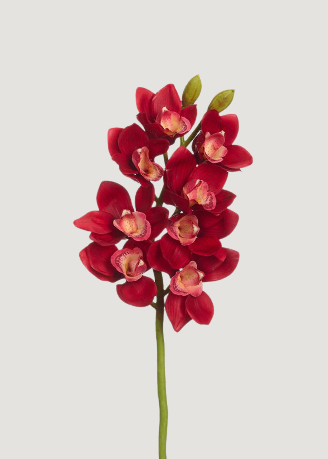 Red Fake Cymbidium Orchid