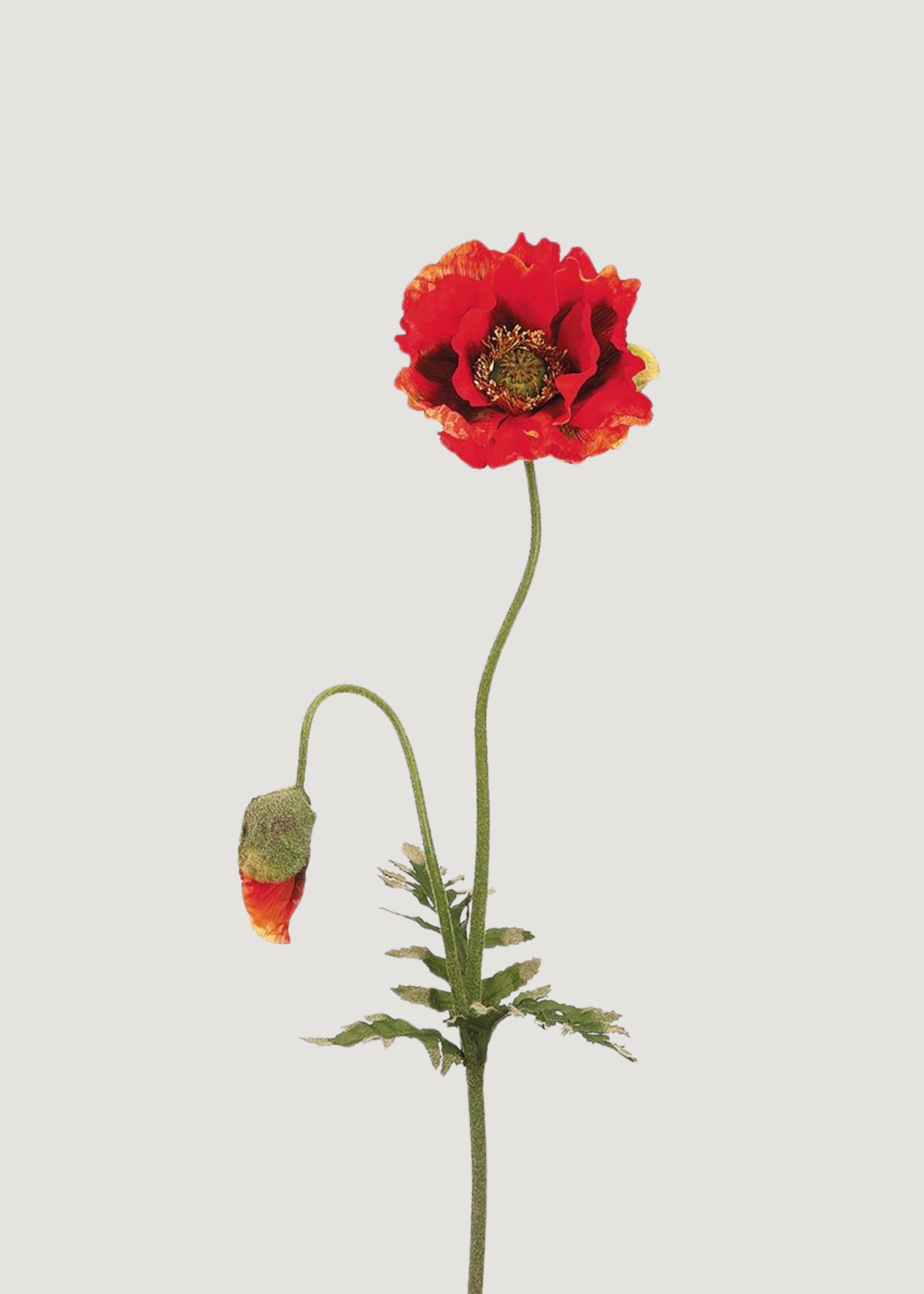 Fake Poppy Flower