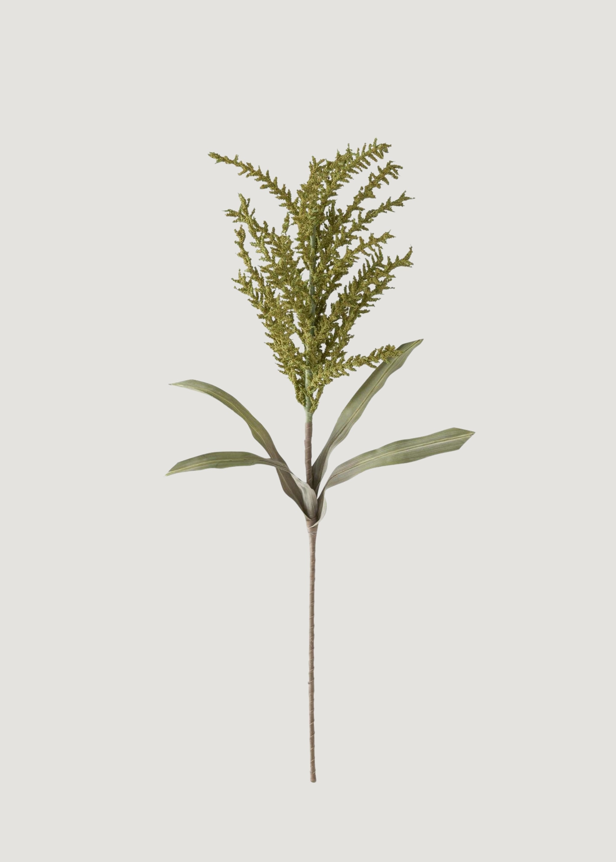 Tall Seed Berry Stem in Green