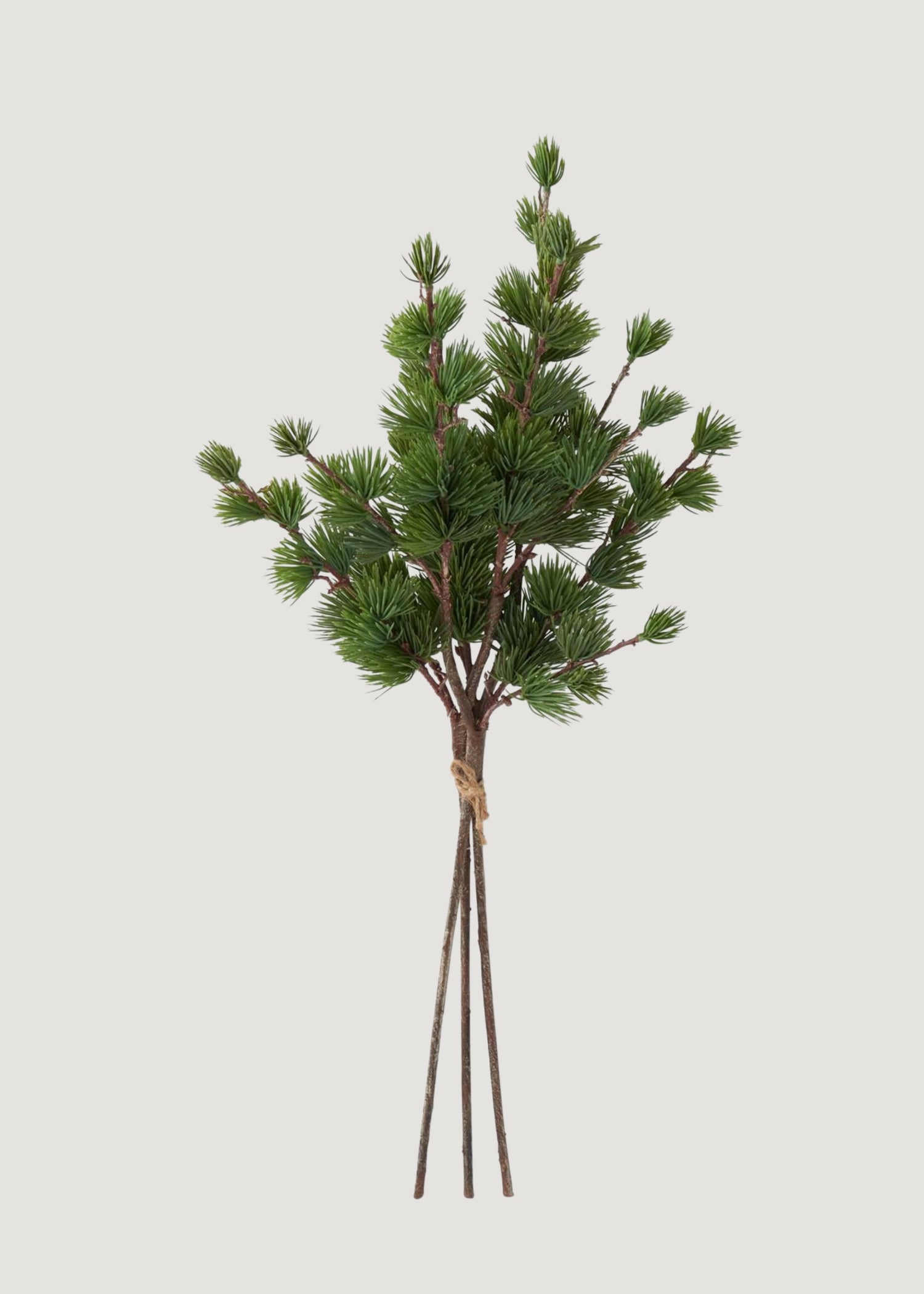 Real Touch Larch Pine