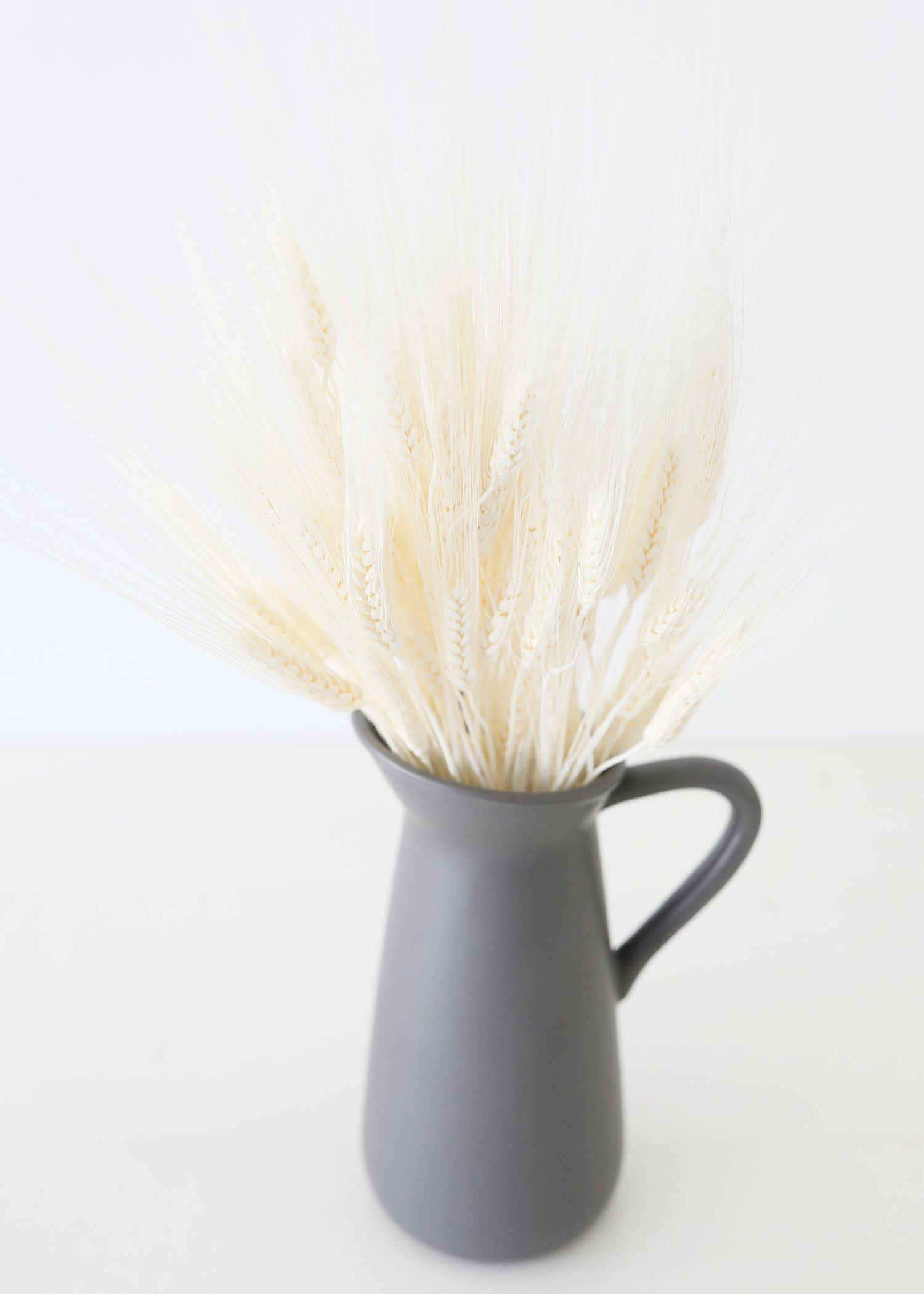 Bleached Natural Triticum Wheat in Pitcher