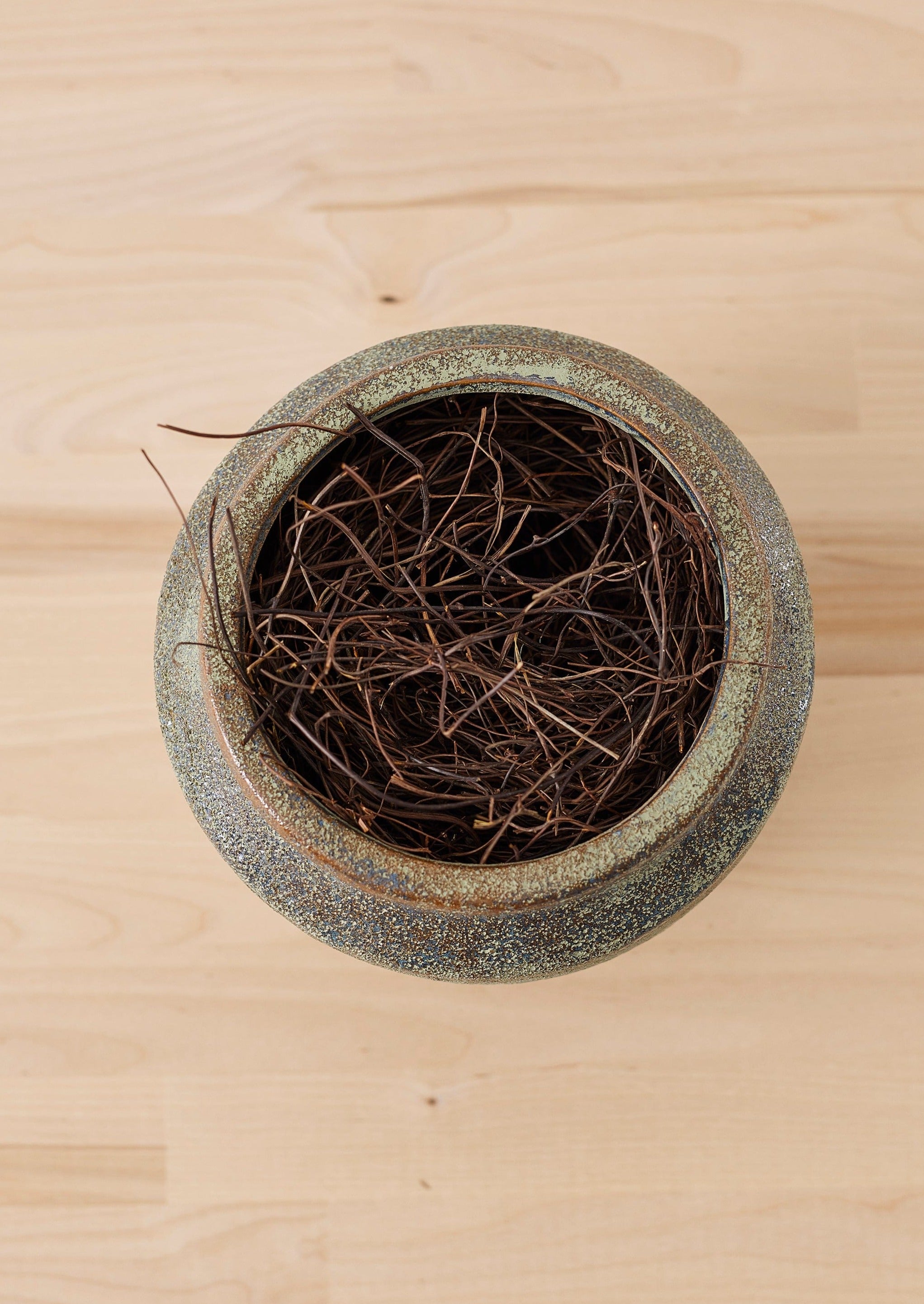 Dried Angel Vine for Foam Free Arrangement in Ceramic Pot