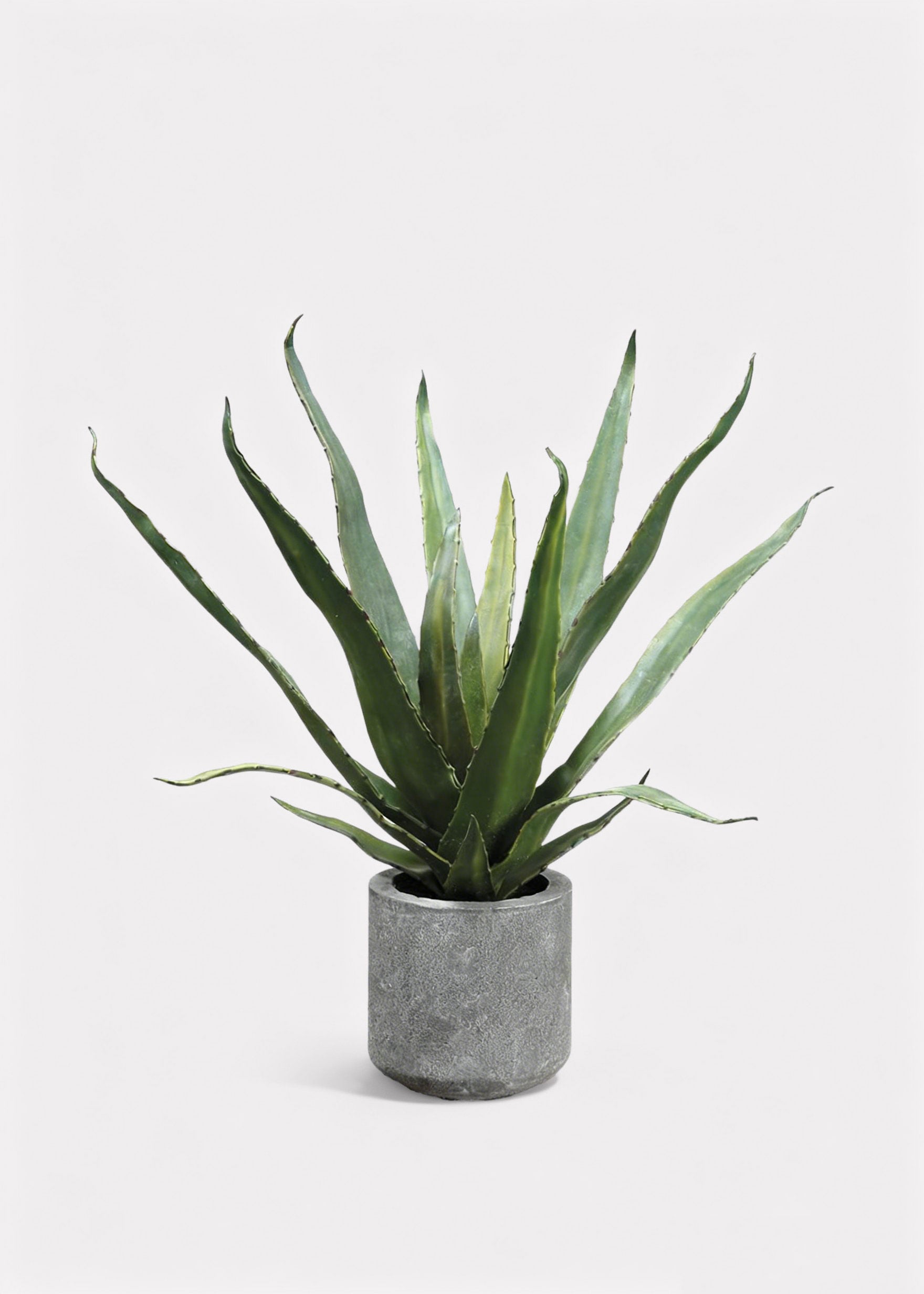 agave plant pot Allstate Floral 19" Faux Agave in Cement Pot