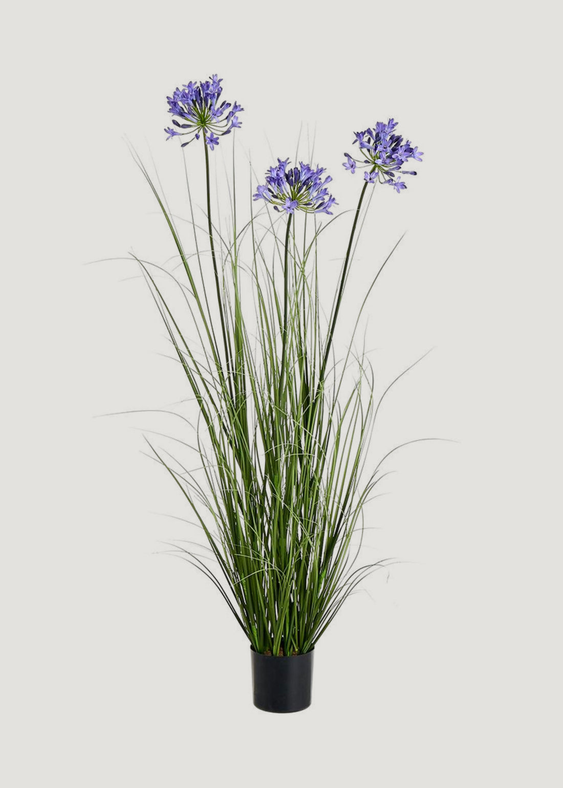 Blue Artificial Agapanthus Flower and Grass Potted Arrangement